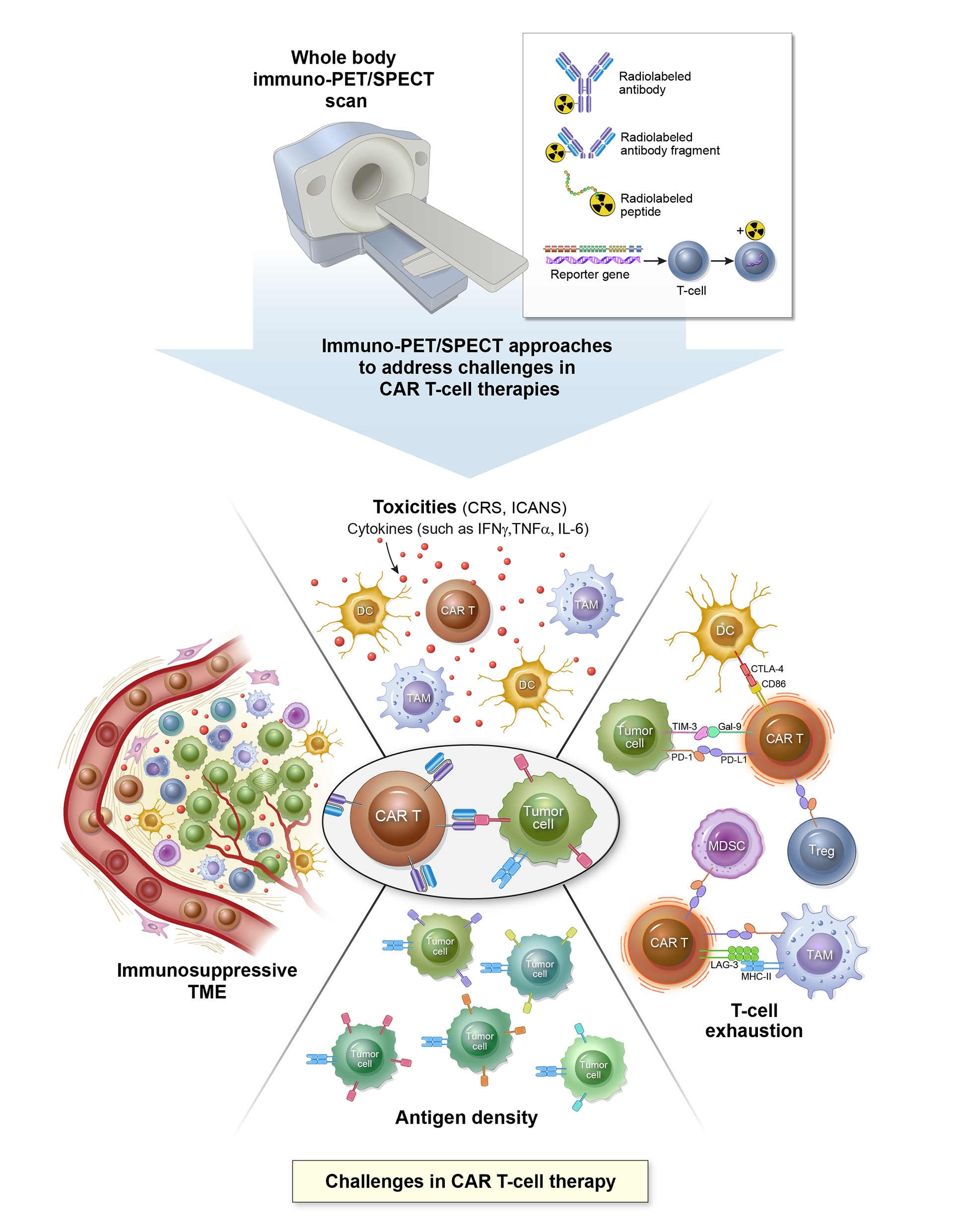 ©2023 Erin E. Moore, MA. This artwork is protected under international copyright laws and agreements. No part of this artwork may be reproduced, stored in a retrieval system, or transmitted in any form or by any means, electronic, mechanical, photocopying, recording, or otherwise, without the prior written permission of the artist.    