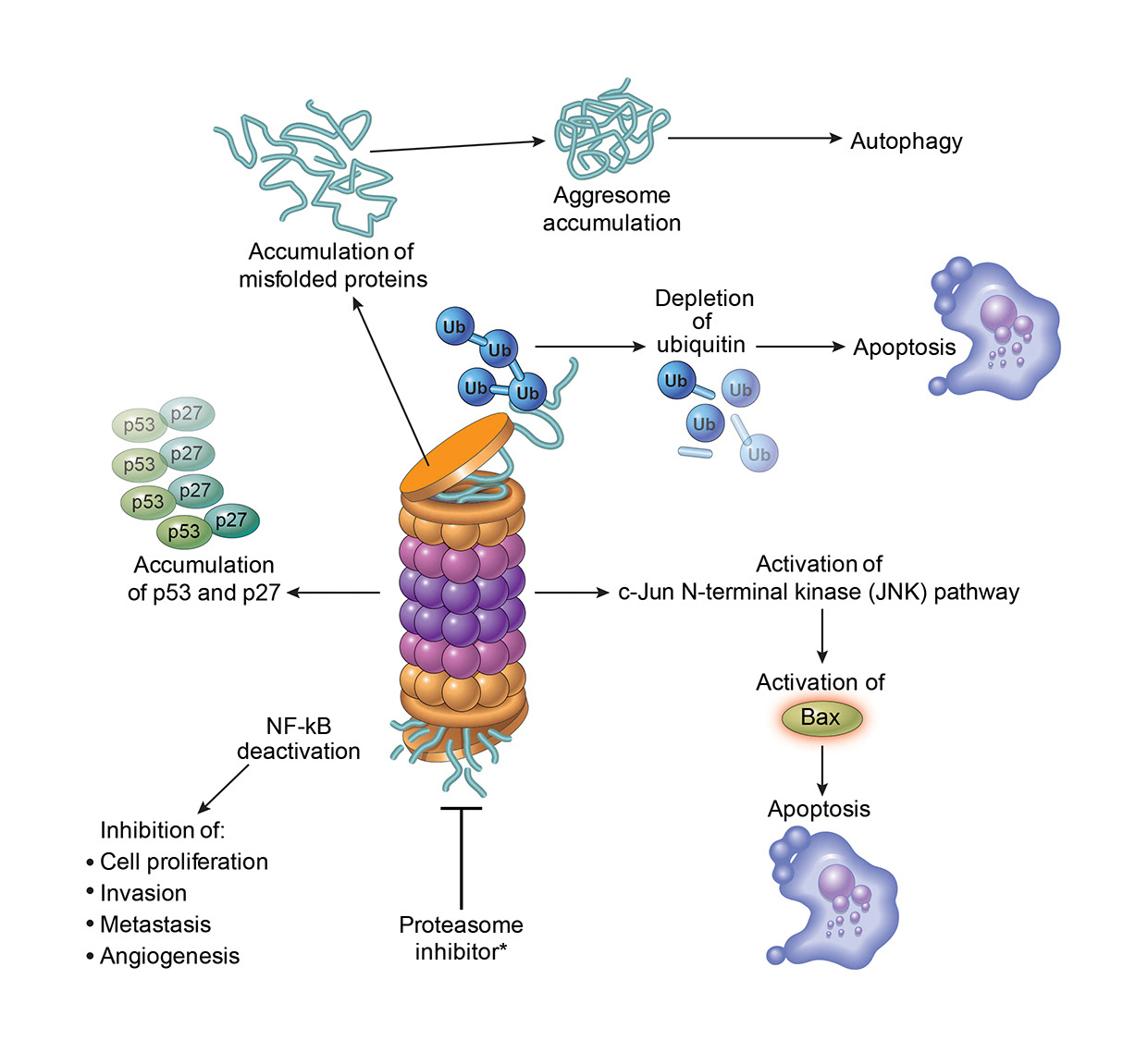 ©2023 Erin E. Moore, MA. This artwork is protected under international copyright laws and agreements. No part of this artwork may be reproduced, stored in a retrieval system, or transmitted in any form or by any means, electronic, mechanical, photocopying, recording, or otherwise, without the prior written permission of the artist.    