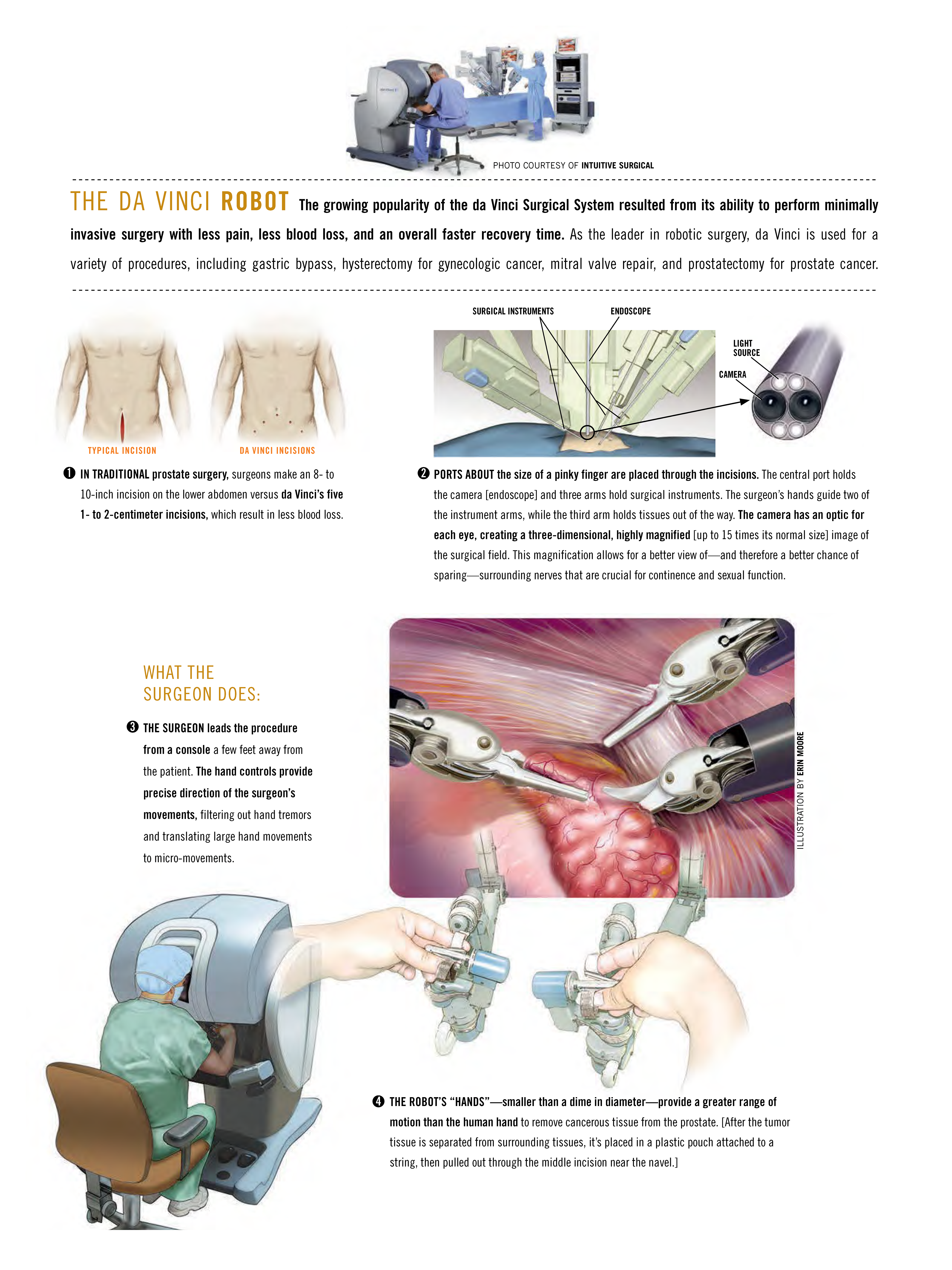 ©2024 Erin E. Moore, MA. This artwork is protected under international copyright laws and agreements. No part of this artwork may be reproduced, stored in a retrieval system, or transmitted in any form or by any means, electronic, mechanical, photocopying, recording, or otherwise, without the prior written permission of the artist.    