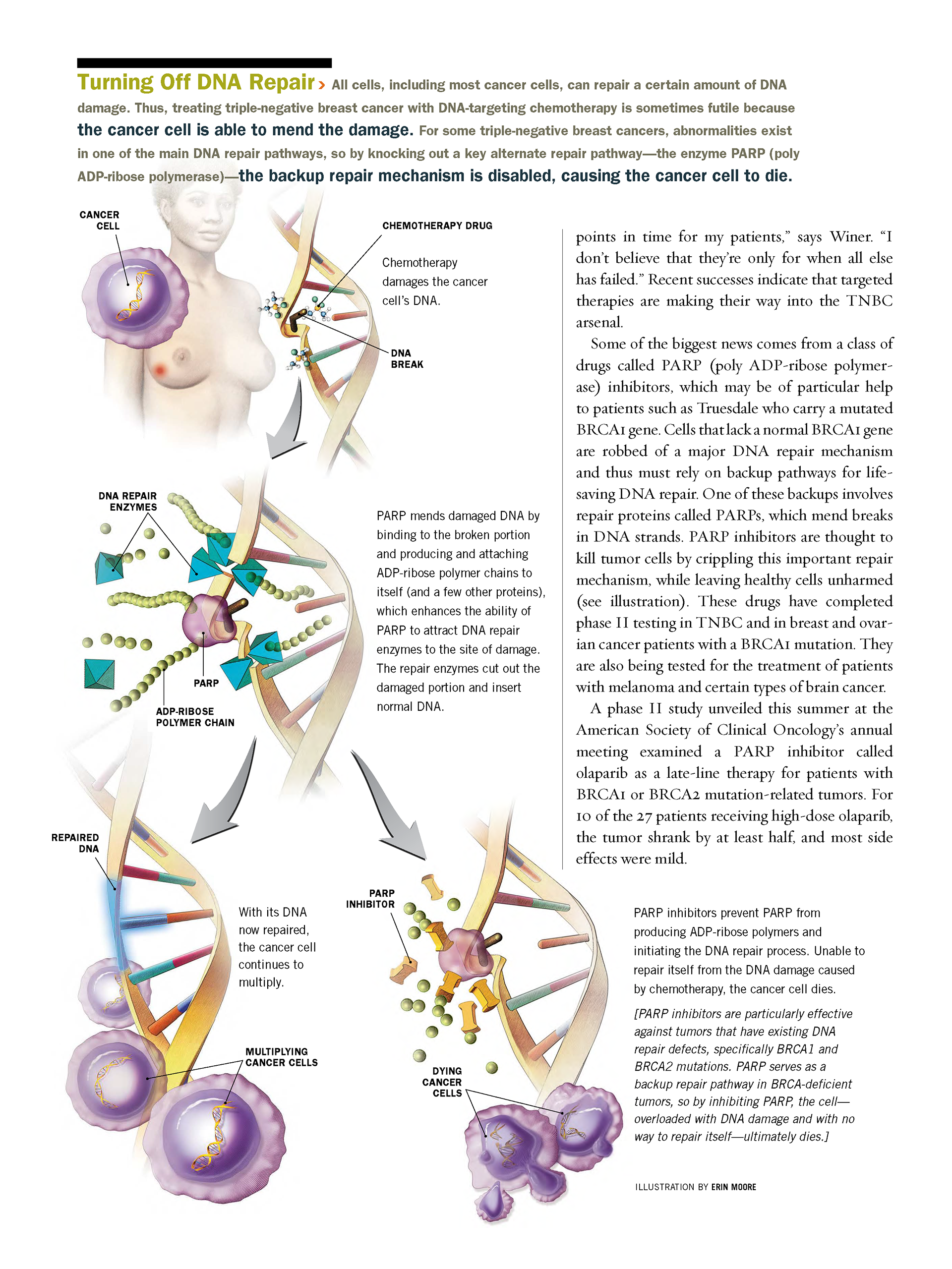 ©2024 Erin E. Moore, MA. This artwork is protected under international copyright laws and agreements. No part of this artwork may be reproduced, stored in a retrieval system, or transmitted in any form or by any means, electronic, mechanical, photocopying, recording, or otherwise, without the prior written permission of the artist.    