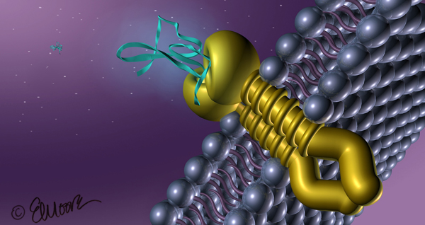 ©2023 Erin E. Moore, MA. This artwork is protected under international copyright laws and agreements. No part of this artwork may be reproduced, stored in a retrieval system, or transmitted in any form or by any means, electronic, mechanical, photocopying, recording, or otherwise, without the prior written permission of the artist.    