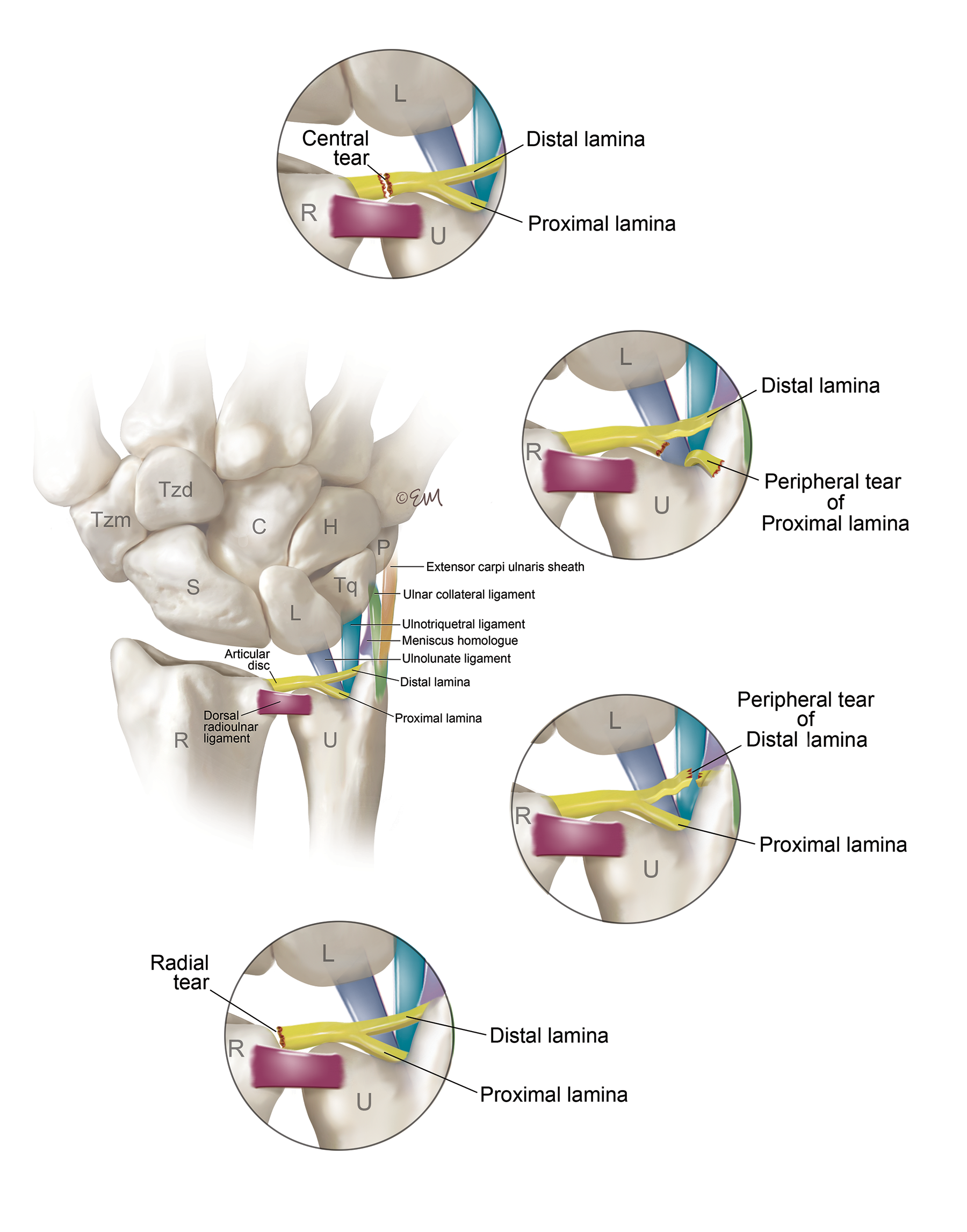 ©2024 Erin E. Moore, MA. This artwork is protected under international copyright laws and agreements. No part of this artwork may be reproduced, stored in a retrieval system, or transmitted in any form or by any means, electronic, mechanical, photocopying, recording, or otherwise, without the prior written permission of the artist.    