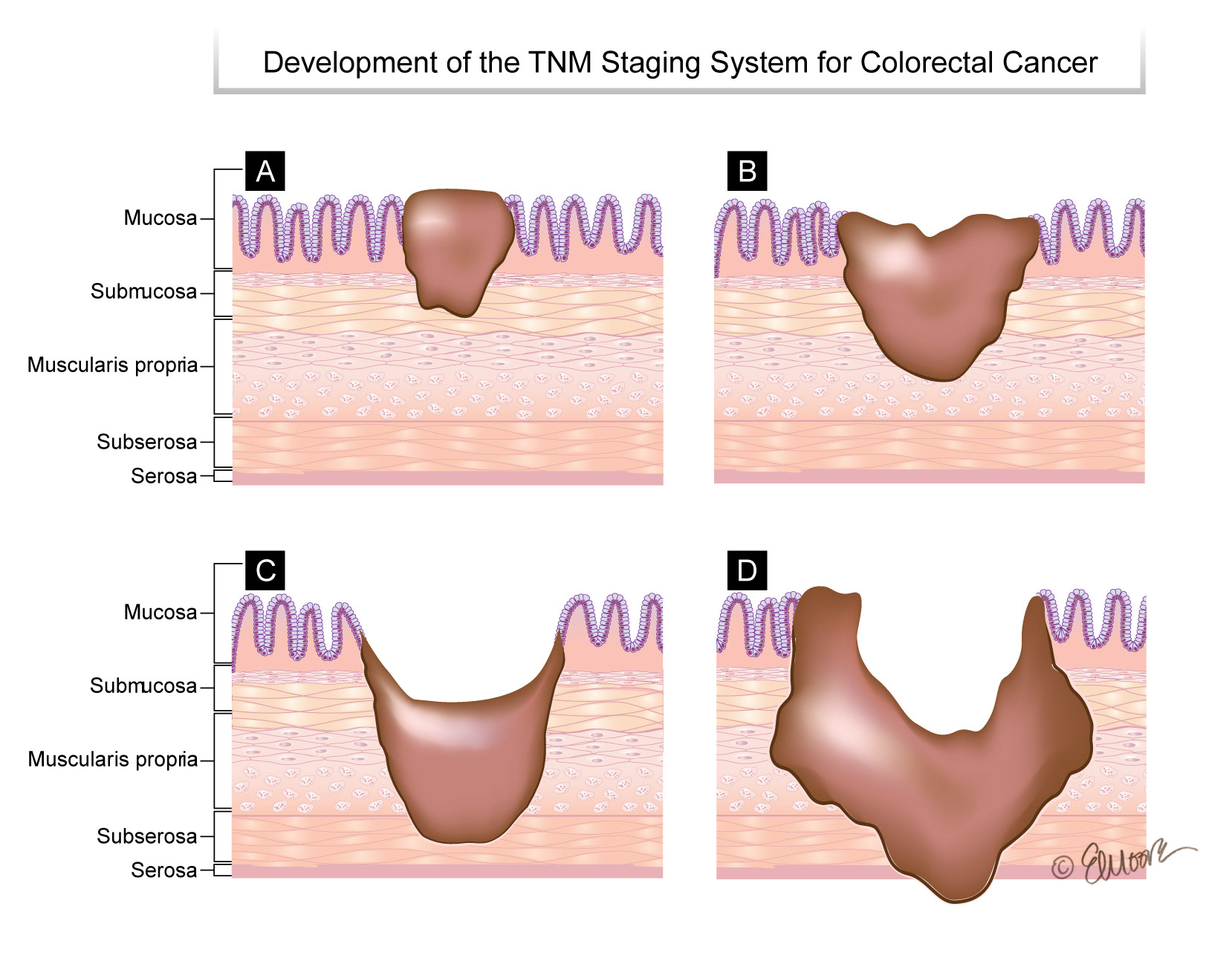 ©2024 Erin E. Moore, MA. This artwork is protected under international copyright laws and agreements. No part of this artwork may be reproduced, stored in a retrieval system, or transmitted in any form or by any means, electronic, mechanical, photocopying, recording, or otherwise, without the prior written permission of the artist.    