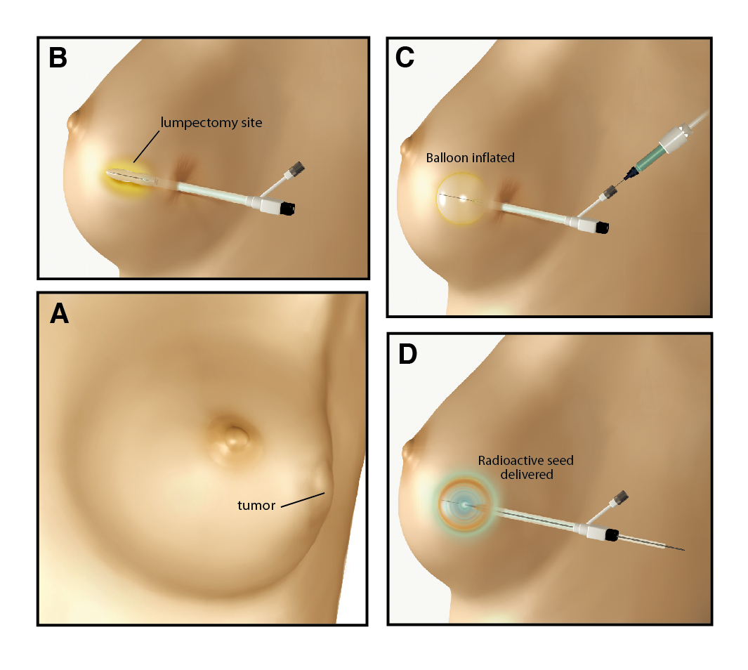 ©2024 Erin E. Moore, MA. This artwork is protected under international copyright laws and agreements. No part of this artwork may be reproduced, stored in a retrieval system, or transmitted in any form or by any means, electronic, mechanical, photocopying, recording, or otherwise, without the prior written permission of the artist.    