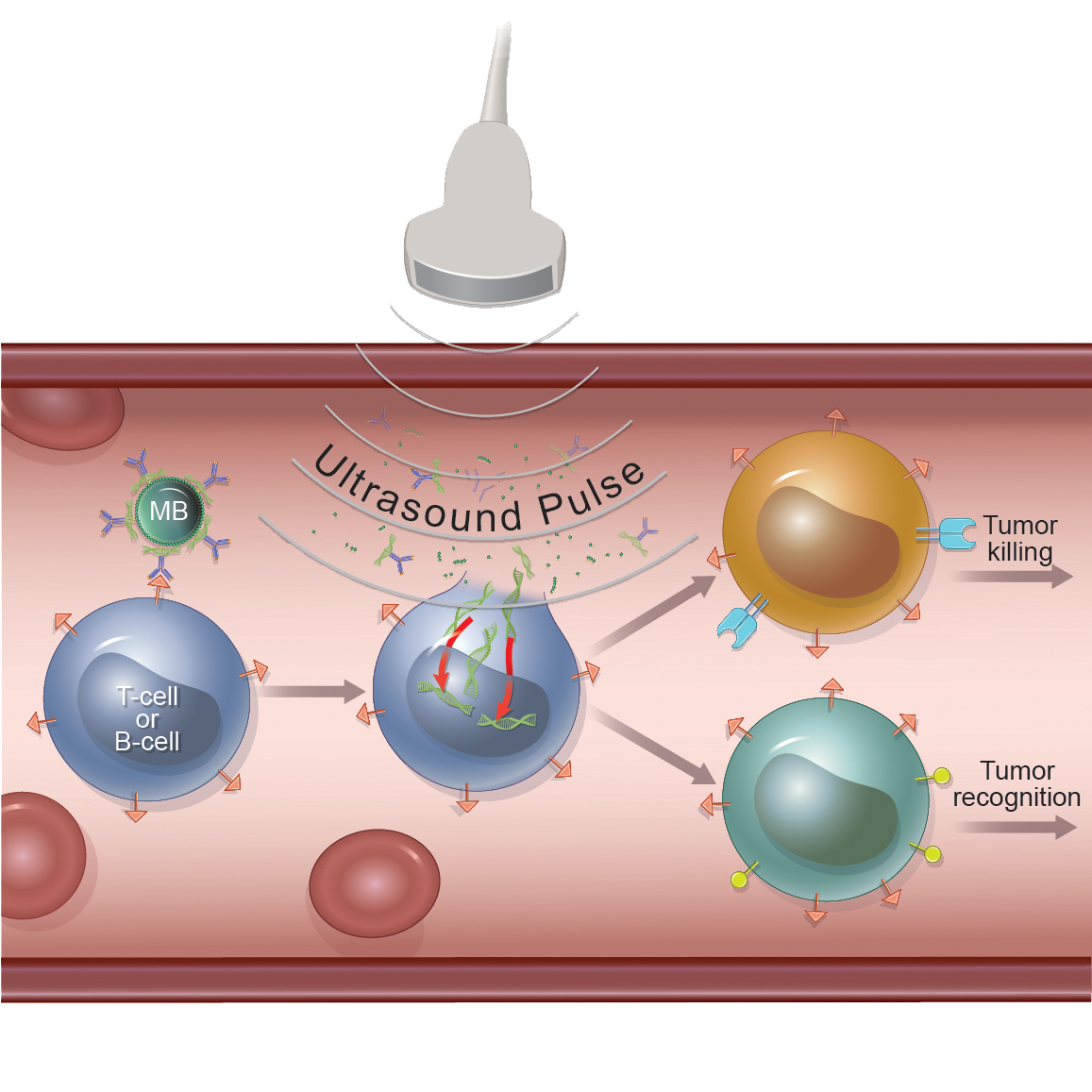 ©2023 Erin E. Moore, MA. This artwork is protected under international copyright laws and agreements. No part of this artwork may be reproduced, stored in a retrieval system, or transmitted in any form or by any means, electronic, mechanical, photocopying, recording, or otherwise, without the prior written permission of the artist.    