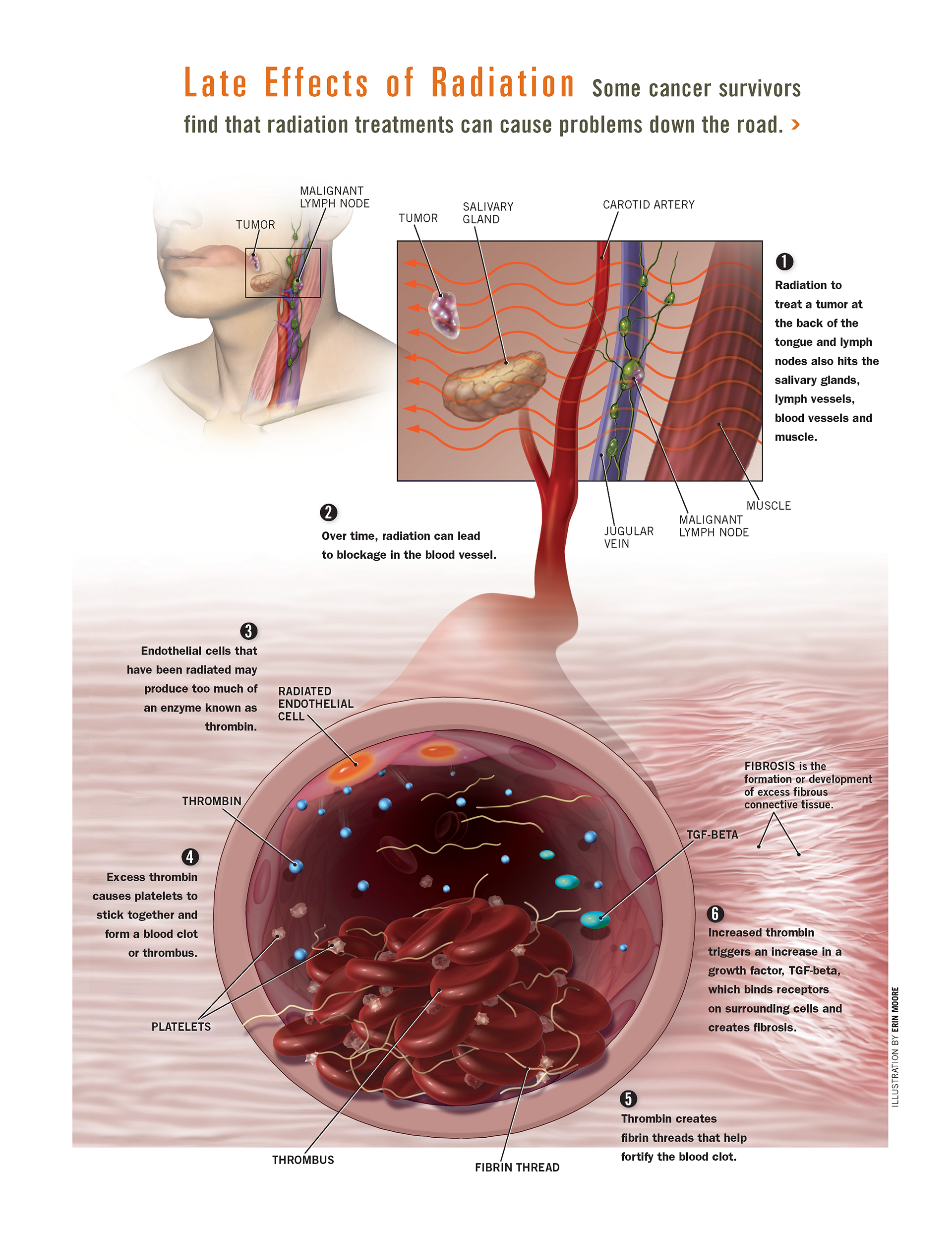 ©2024 Erin E. Moore, MA. This artwork is protected under international copyright laws and agreements. No part of this artwork may be reproduced, stored in a retrieval system, or transmitted in any form or by any means, electronic, mechanical, photocopying, recording, or otherwise, without the prior written permission of the artist.    