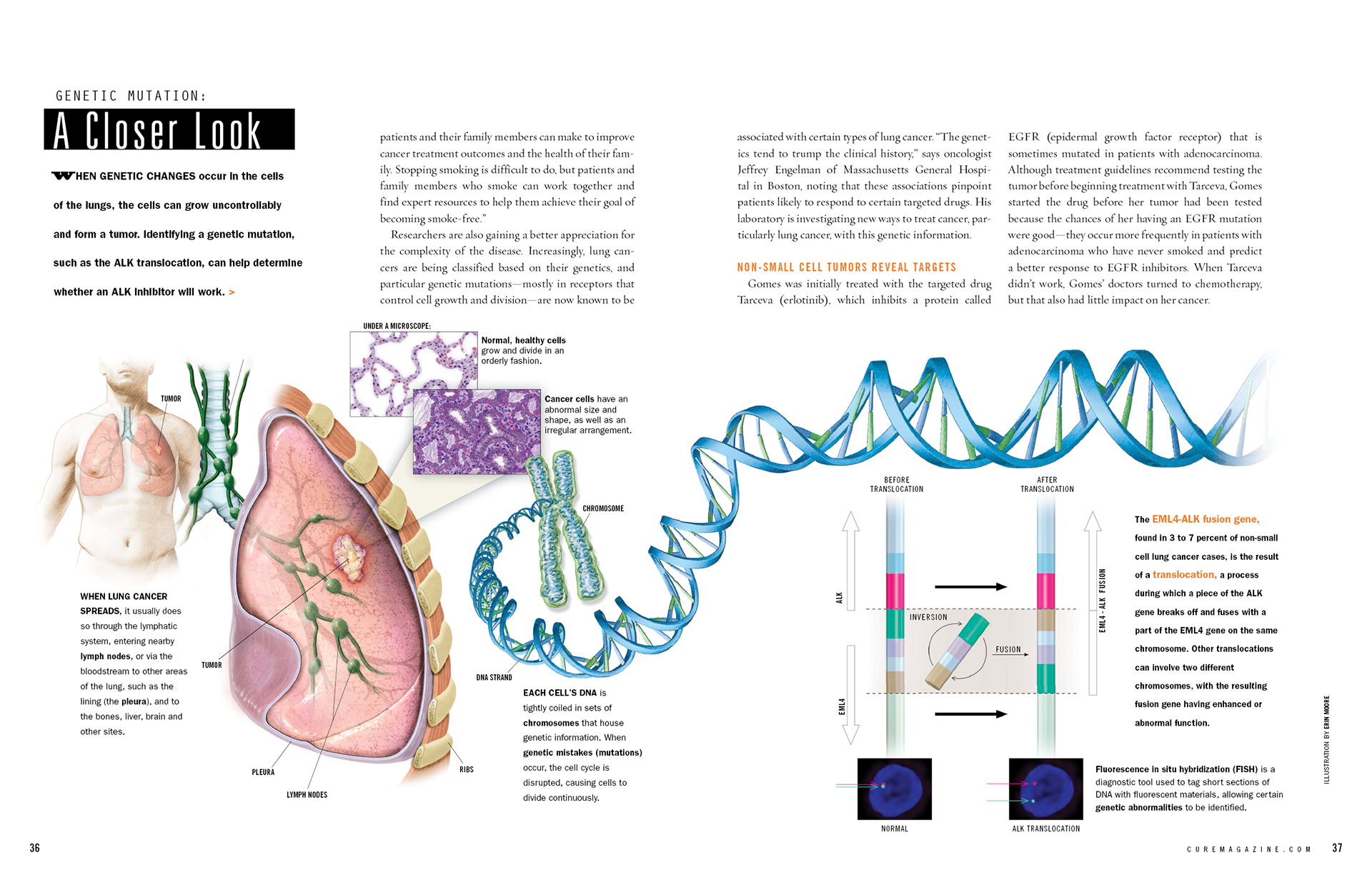 ©2024 Erin E. Moore, MA. This artwork is protected under international copyright laws and agreements. No part of this artwork may be reproduced, stored in a retrieval system, or transmitted in any form or by any means, electronic, mechanical, photocopying, recording, or otherwise, without the prior written permission of the artist.    