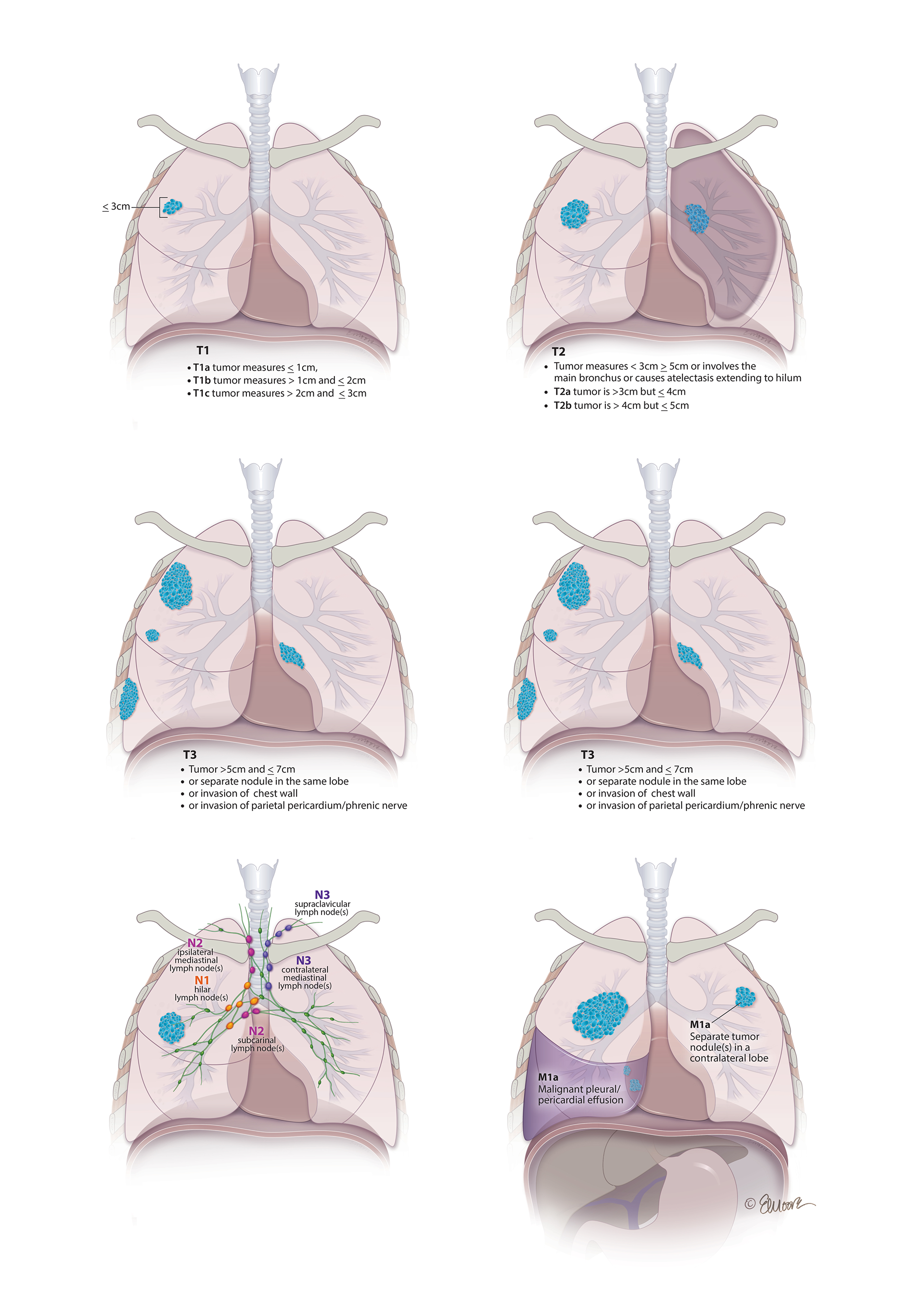 ©2024 Erin E. Moore, MA. This artwork is protected under international copyright laws and agreements. No part of this artwork may be reproduced, stored in a retrieval system, or transmitted in any form or by any means, electronic, mechanical, photocopying, recording, or otherwise, without the prior written permission of the artist.    
