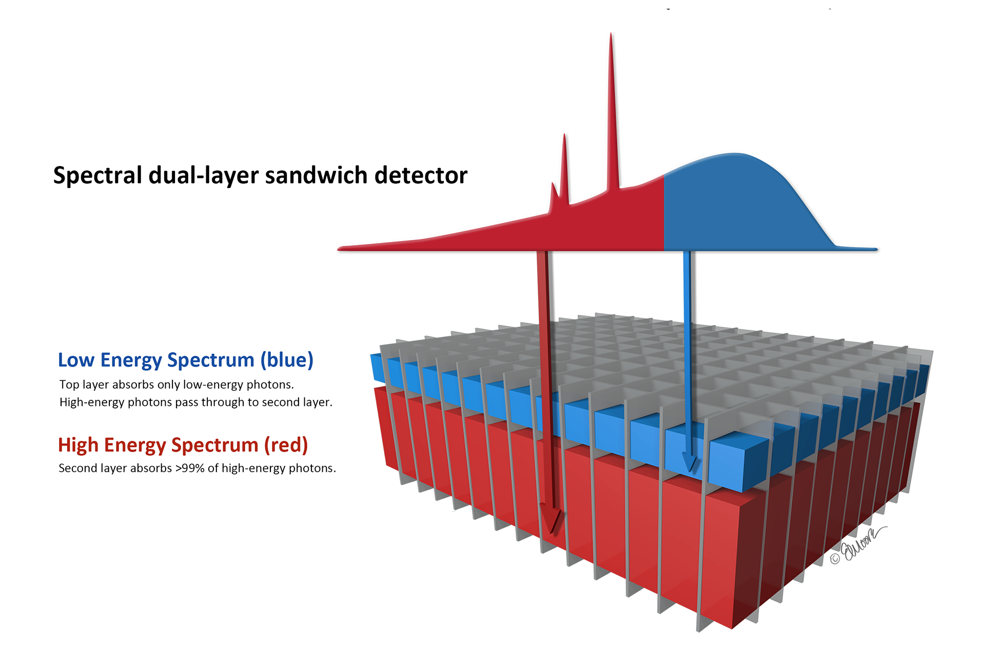 ©2023 Erin E. Moore, MA. This artwork is protected under international copyright laws and agreements. No part of this artwork may be reproduced, stored in a retrieval system, or transmitted in any form or by any means, electronic, mechanical, photocopying, recording, or otherwise, without the prior written permission of the artist.    