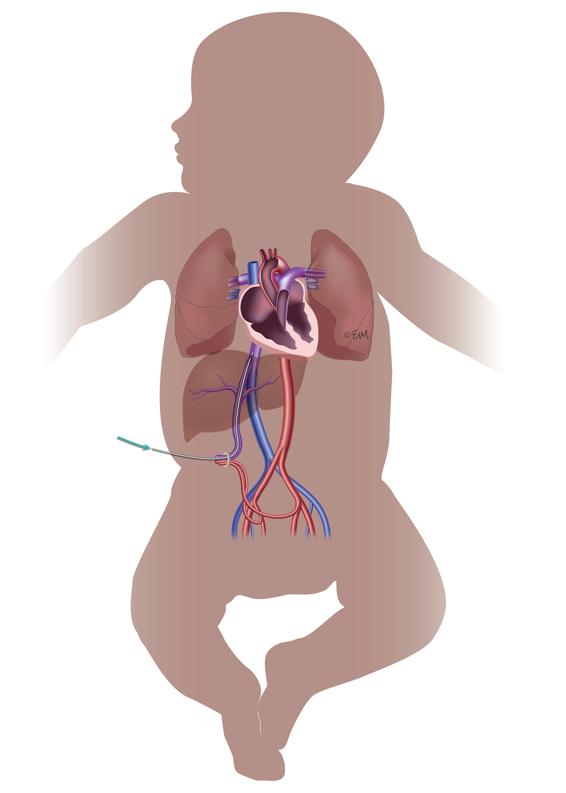 ©2024 Erin E. Moore, MA. This artwork is protected under international copyright laws and agreements. No part of this artwork may be reproduced, stored in a retrieval system, or transmitted in any form or by any means, electronic, mechanical, photocopying, recording, or otherwise, without the prior written permission of the artist.    