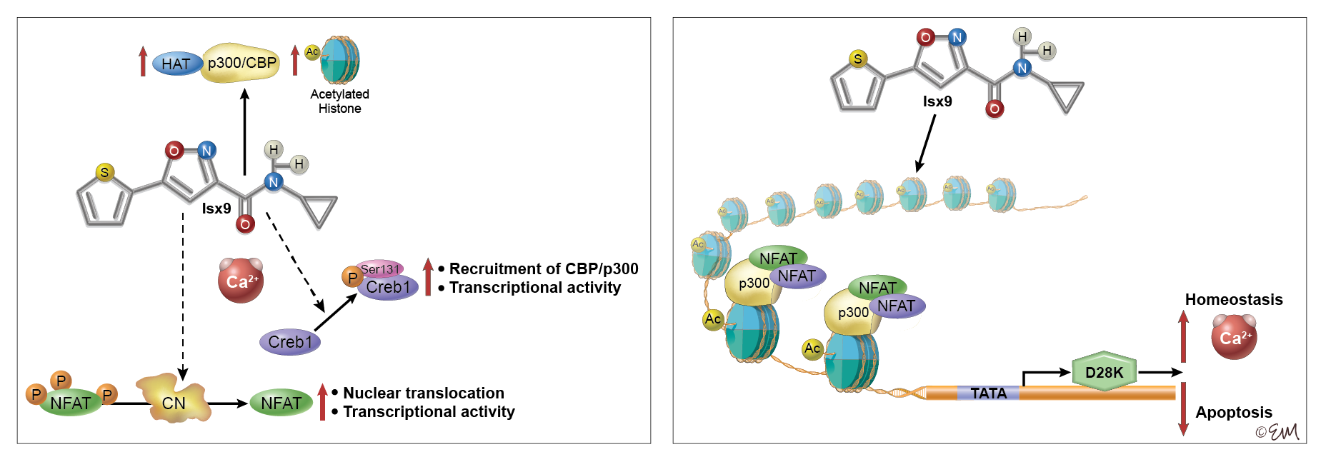 ©2023 Erin E. Moore, MA. This artwork is protected under international copyright laws and agreements. No part of this artwork may be reproduced, stored in a retrieval system, or transmitted in any form or by any means, electronic, mechanical, photocopying, recording, or otherwise, without the prior written permission of the artist.    