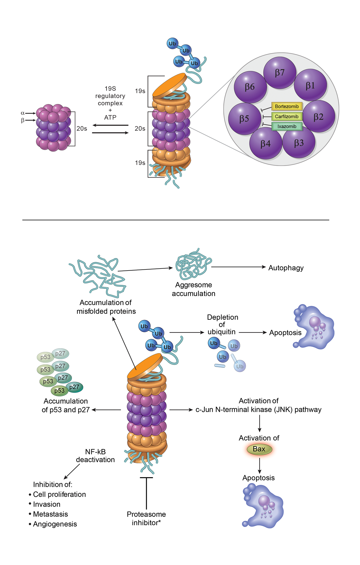 ©2023 Erin E. Moore, MA. This artwork is protected under international copyright laws and agreements. No part of this artwork may be reproduced, stored in a retrieval system, or transmitted in any form or by any means, electronic, mechanical, photocopying, recording, or otherwise, without the prior written permission of the artist.    