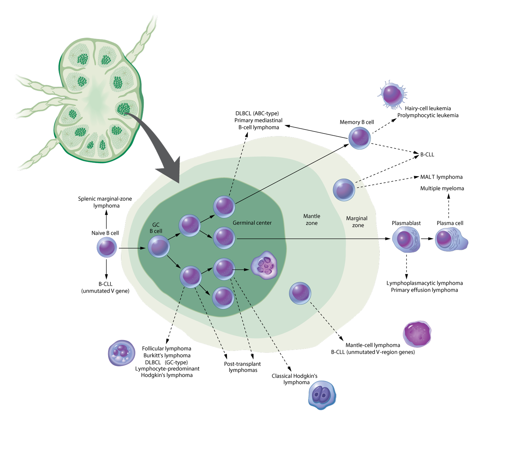 ©2023 Erin E. Moore, MA. This artwork is protected under international copyright laws and agreements. No part of this artwork may be reproduced, stored in a retrieval system, or transmitted in any form or by any means, electronic, mechanical, photocopying, recording, or otherwise, without the prior written permission of the artist.    