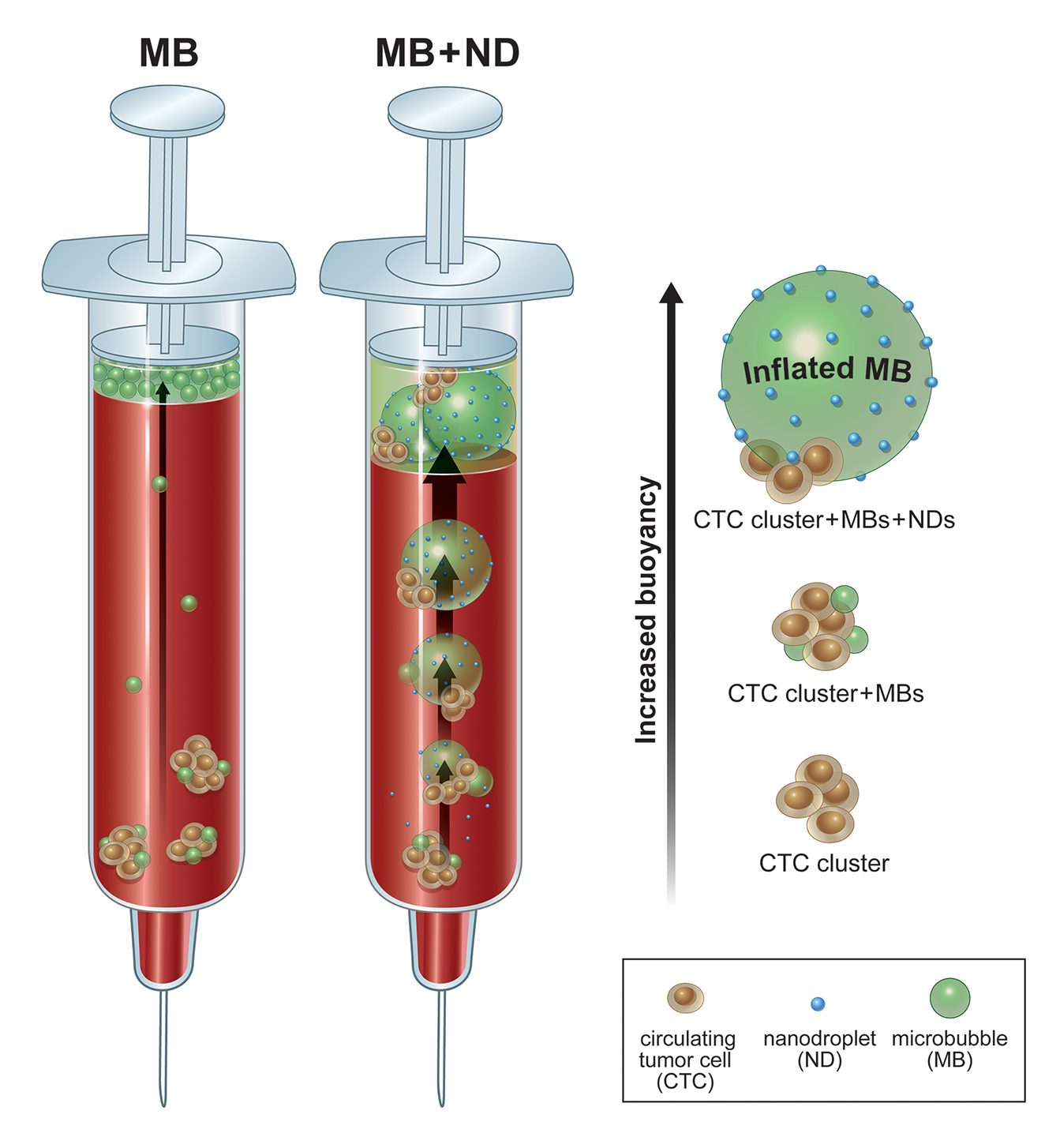 ©2023 Erin E. Moore, MA. This artwork is protected under international copyright laws and agreements. No part of this artwork may be reproduced, stored in a retrieval system, or transmitted in any form or by any means, electronic, mechanical, photocopying, recording, or otherwise, without the prior written permission of the artist.    