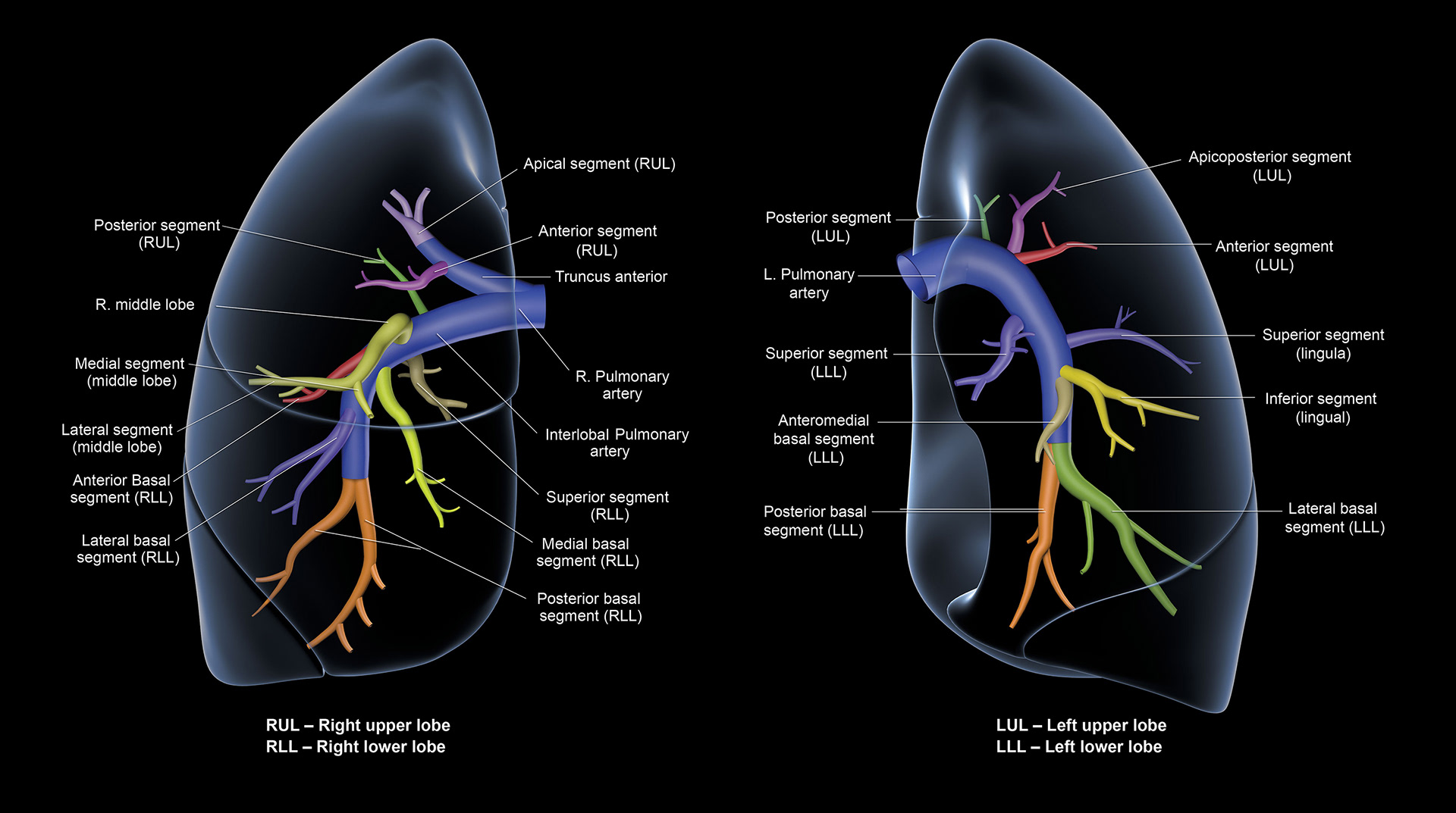 ©2024 Erin E. Moore, MA. This artwork is protected under international copyright laws and agreements. No part of this artwork may be reproduced, stored in a retrieval system, or transmitted in any form or by any means, electronic, mechanical, photocopying, recording, or otherwise, without the prior written permission of the artist.    