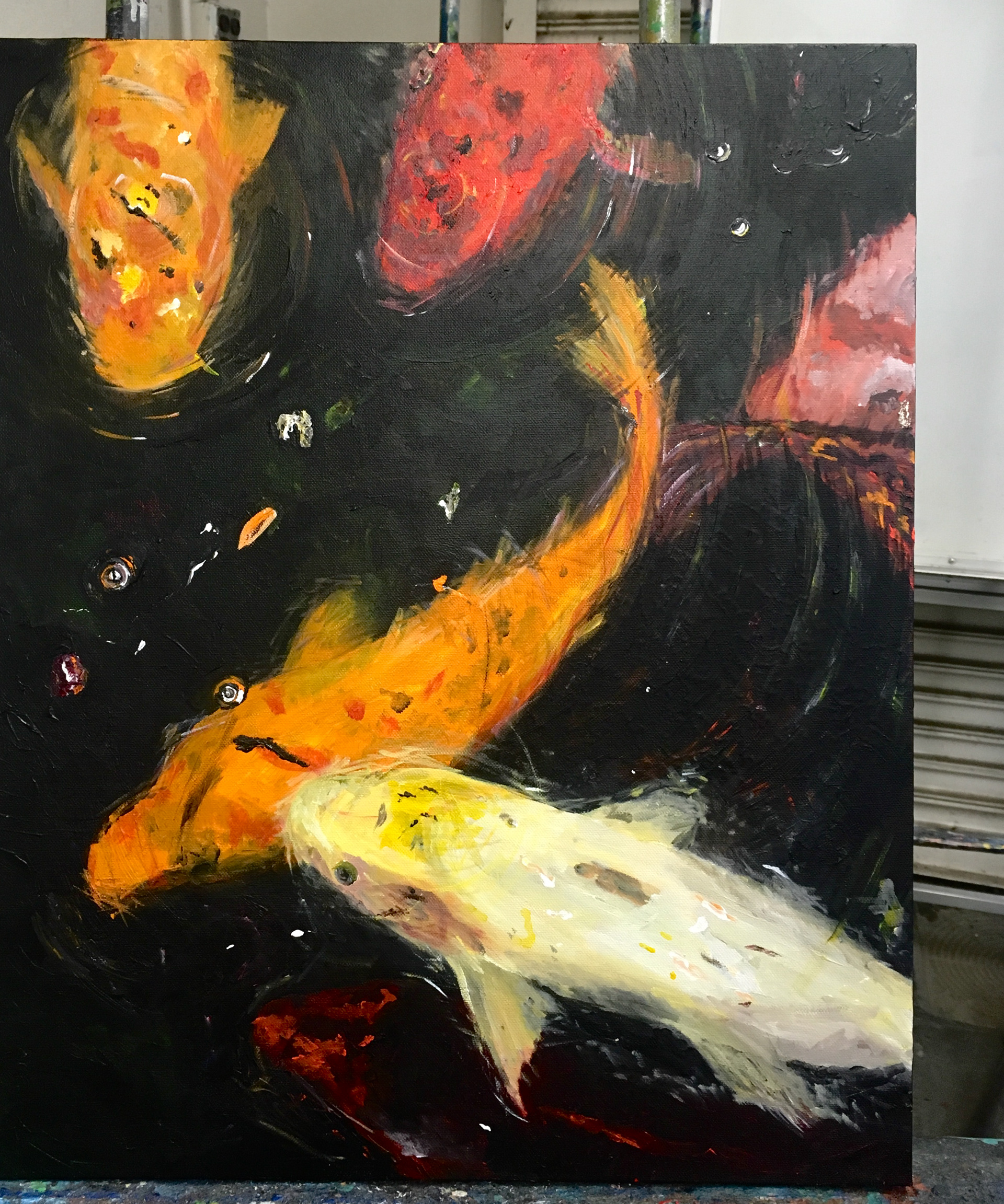 Koi Colors, 16x20"
