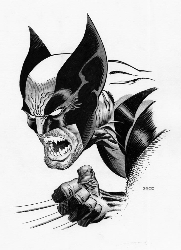 Wolverine sketch