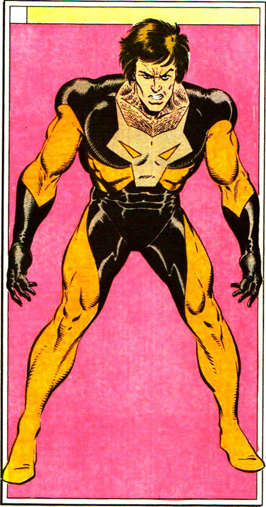 WHO'S WHO IN THE LEGION OF SUPER HEROES, Number 6, interior entry by Mike Zeck (pencils / inks)