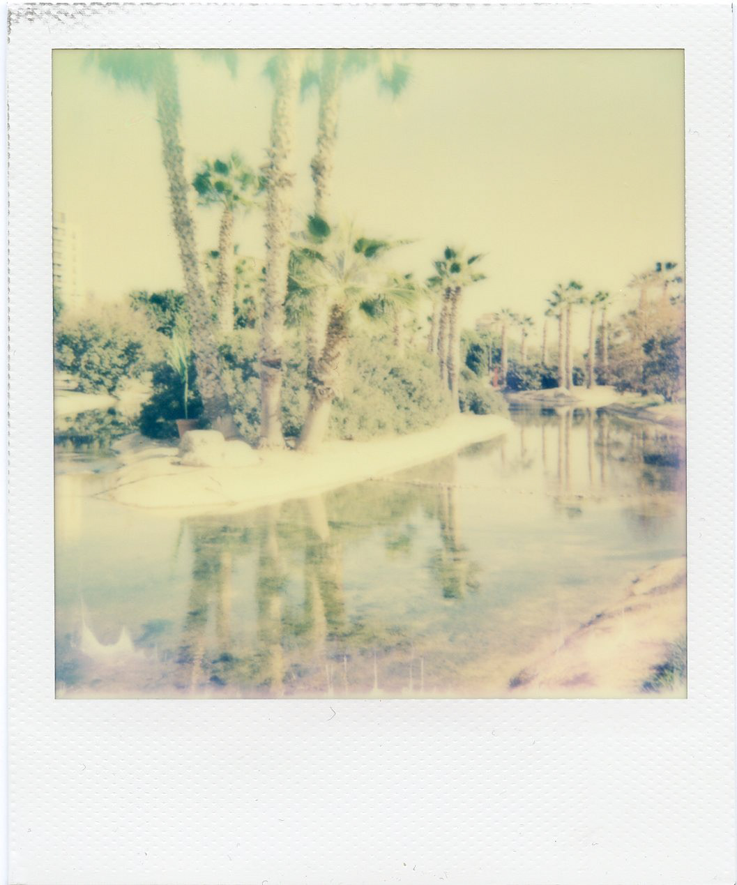 Valencia, Spain, 2016, IMPOSSIBLE INSTANT COLOR FILM FOR POLAROID 600-TYPE