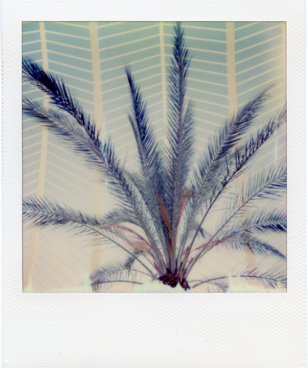 Valencia, Spain, 2016, IMPOSSIBLE INSTANT COLOR FILM FOR POLAROID 600-TYPE