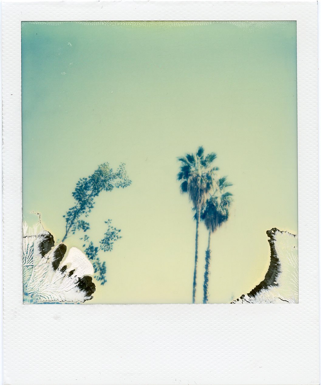 Valencia, Spain, 2016, IMPOSSIBLE INSTANT COLOR FILM FOR POLAROID 600-TYPE