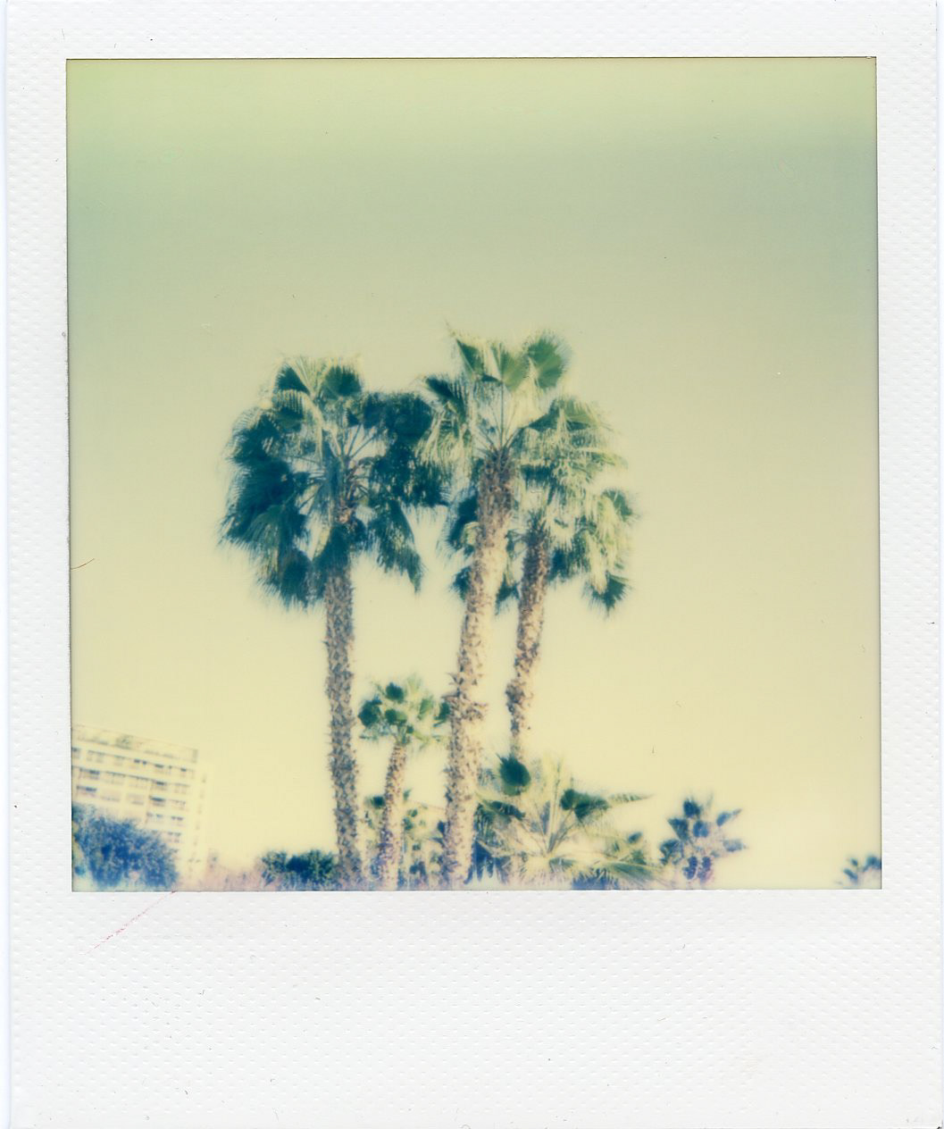 Valencia, Spain, 2016, IMPOSSIBLE INSTANT COLOR FILM FOR POLAROID 600-TYPE