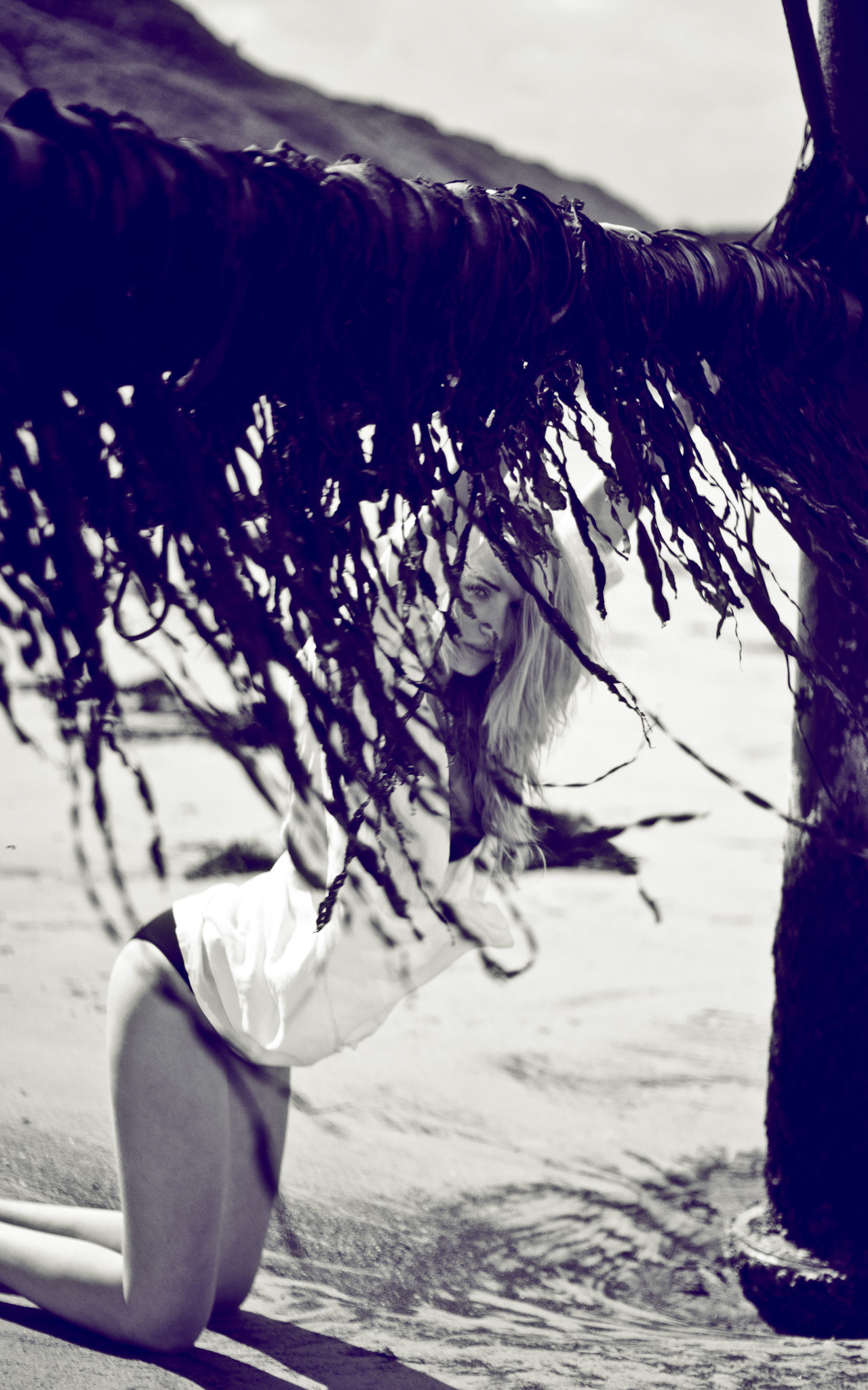 SONY DSC