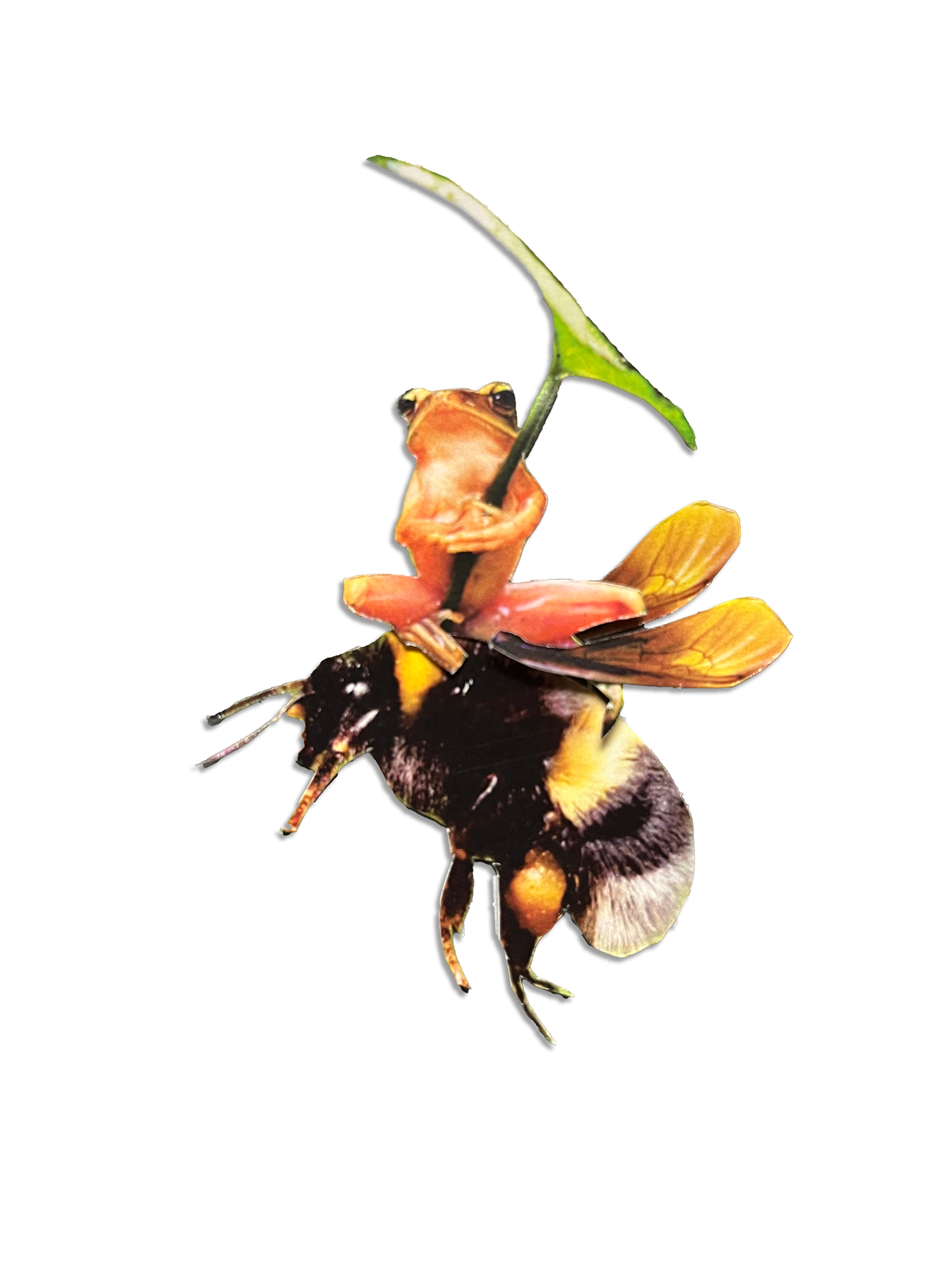 Beeheader