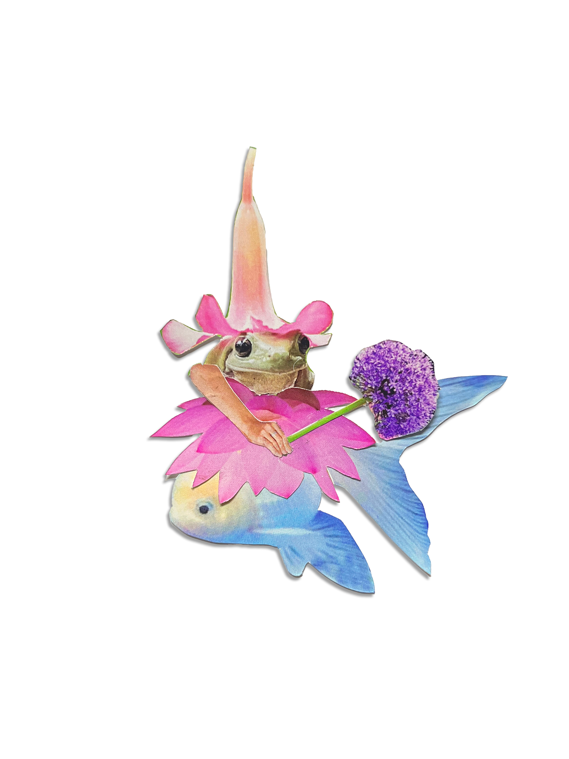 Fairy