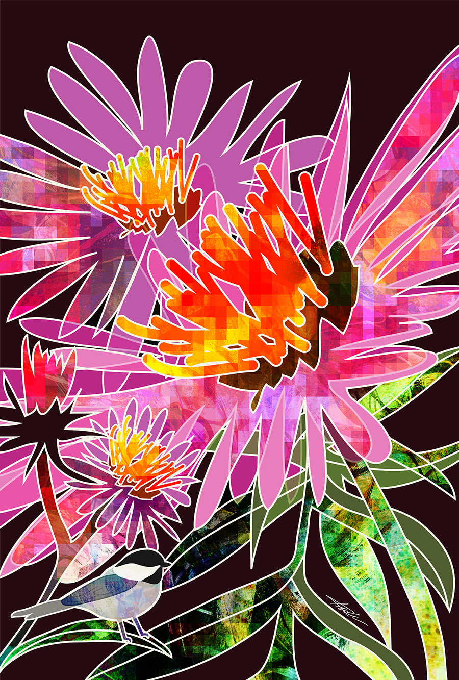 Aster