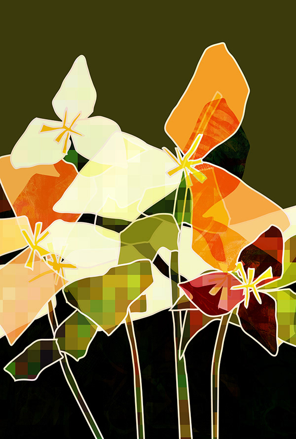 Trillium