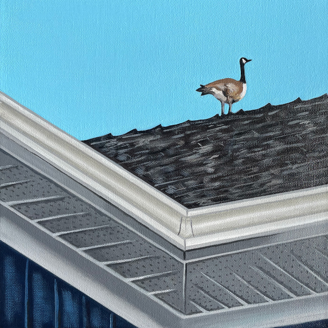 Single Roof Goose 12x12"