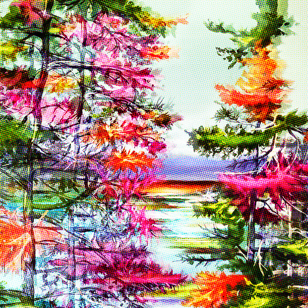 Digi-Pine no.2