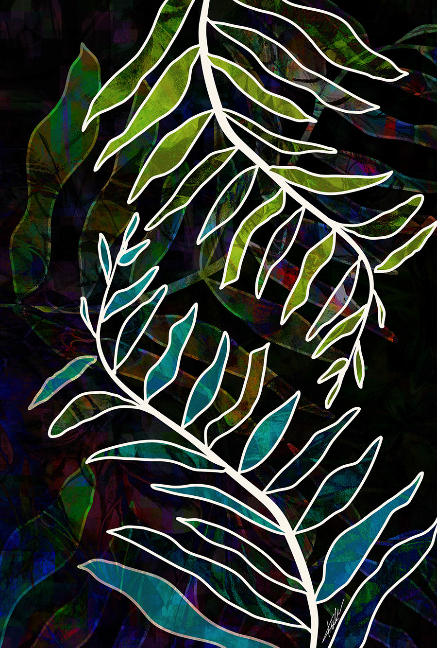 Fern
