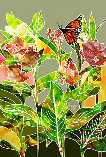 Milkweed