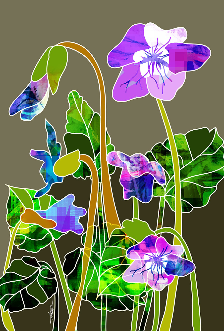 Violets