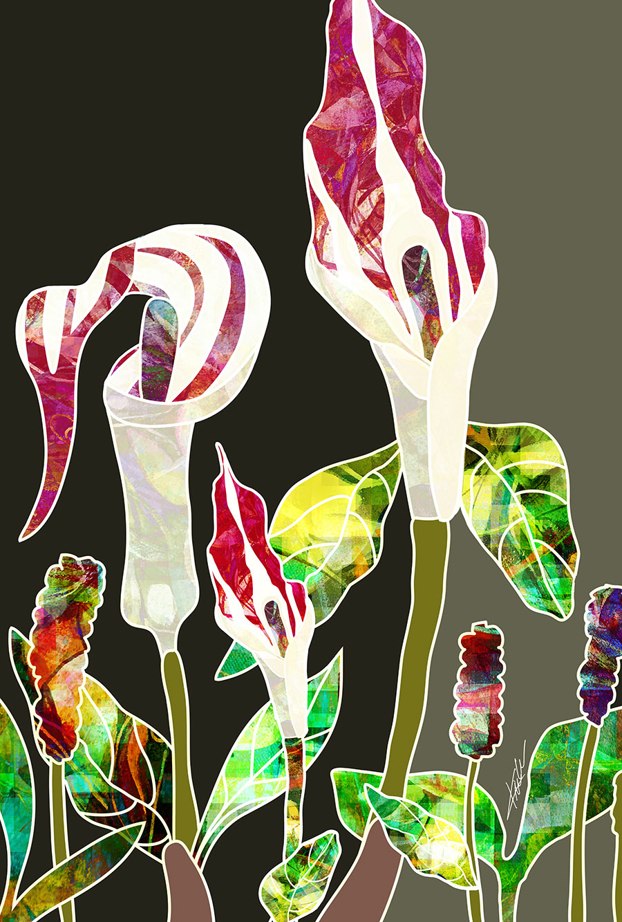 Jack-in-the-Pulput