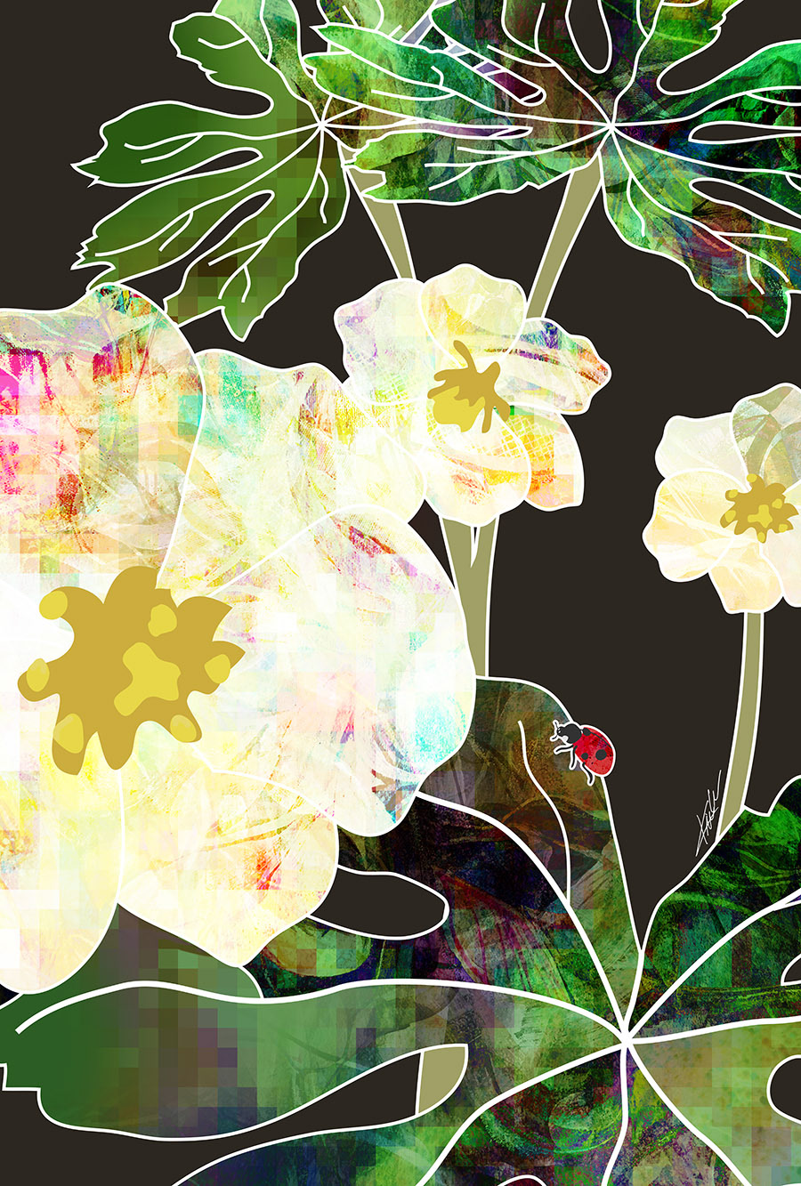 Mayapples
