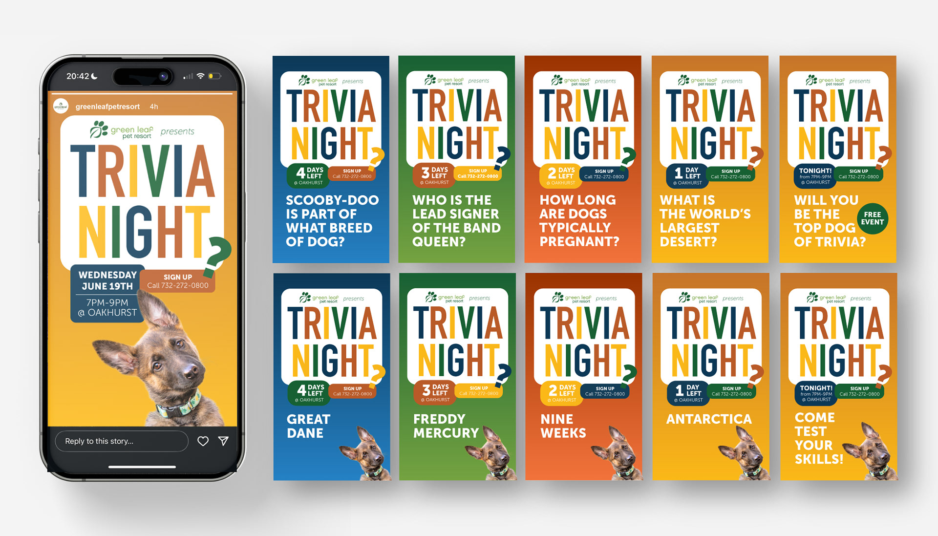 Instagram and Facebook social media story count down with trivia questions.
