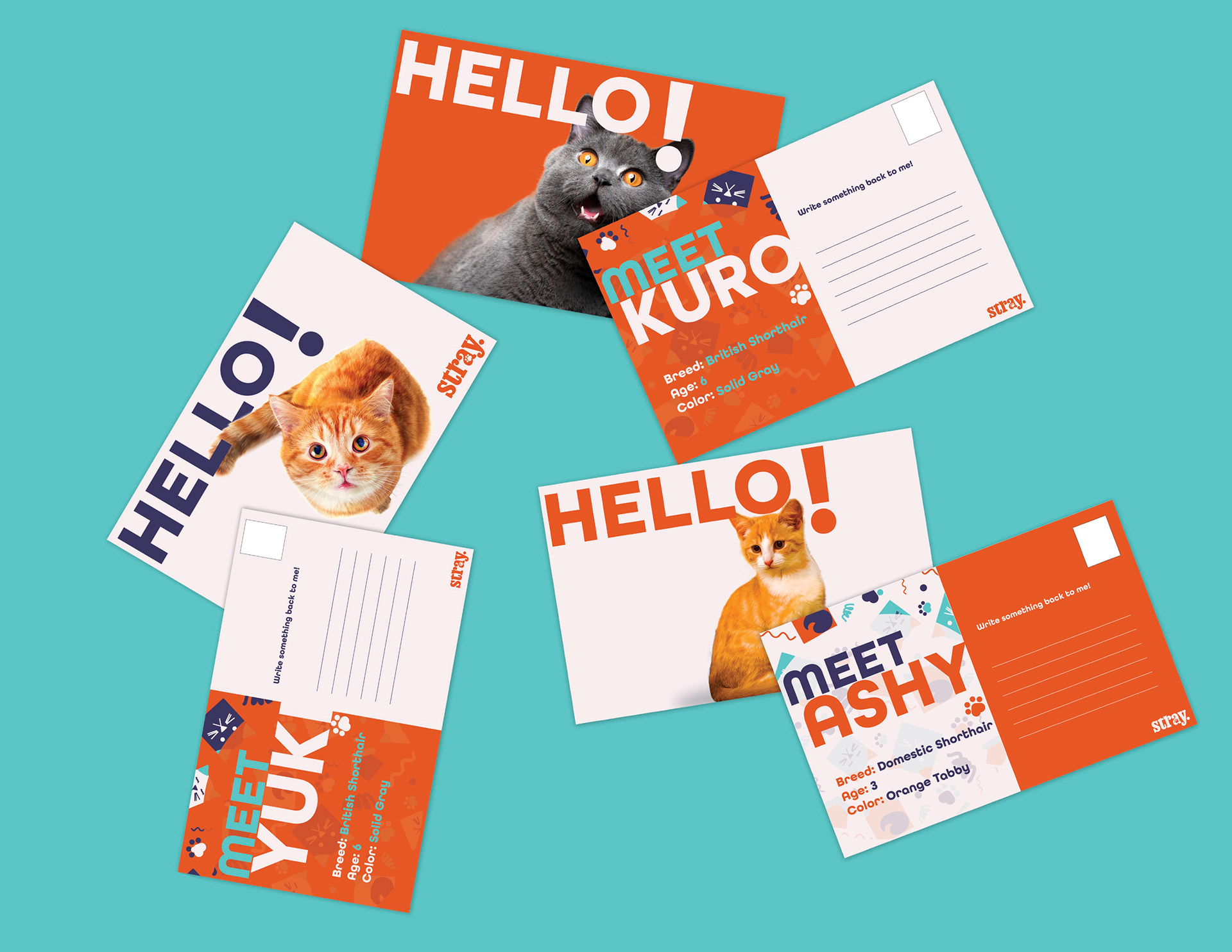Weekly Postcards