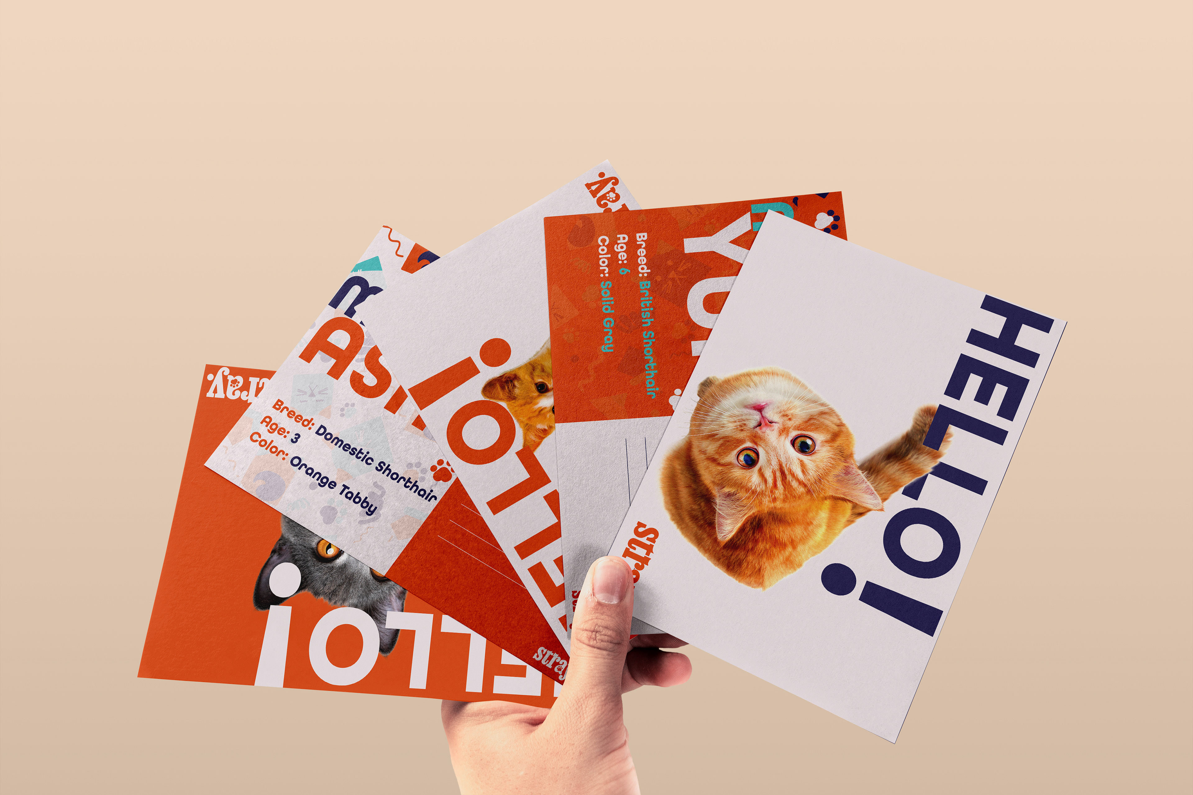Postcards