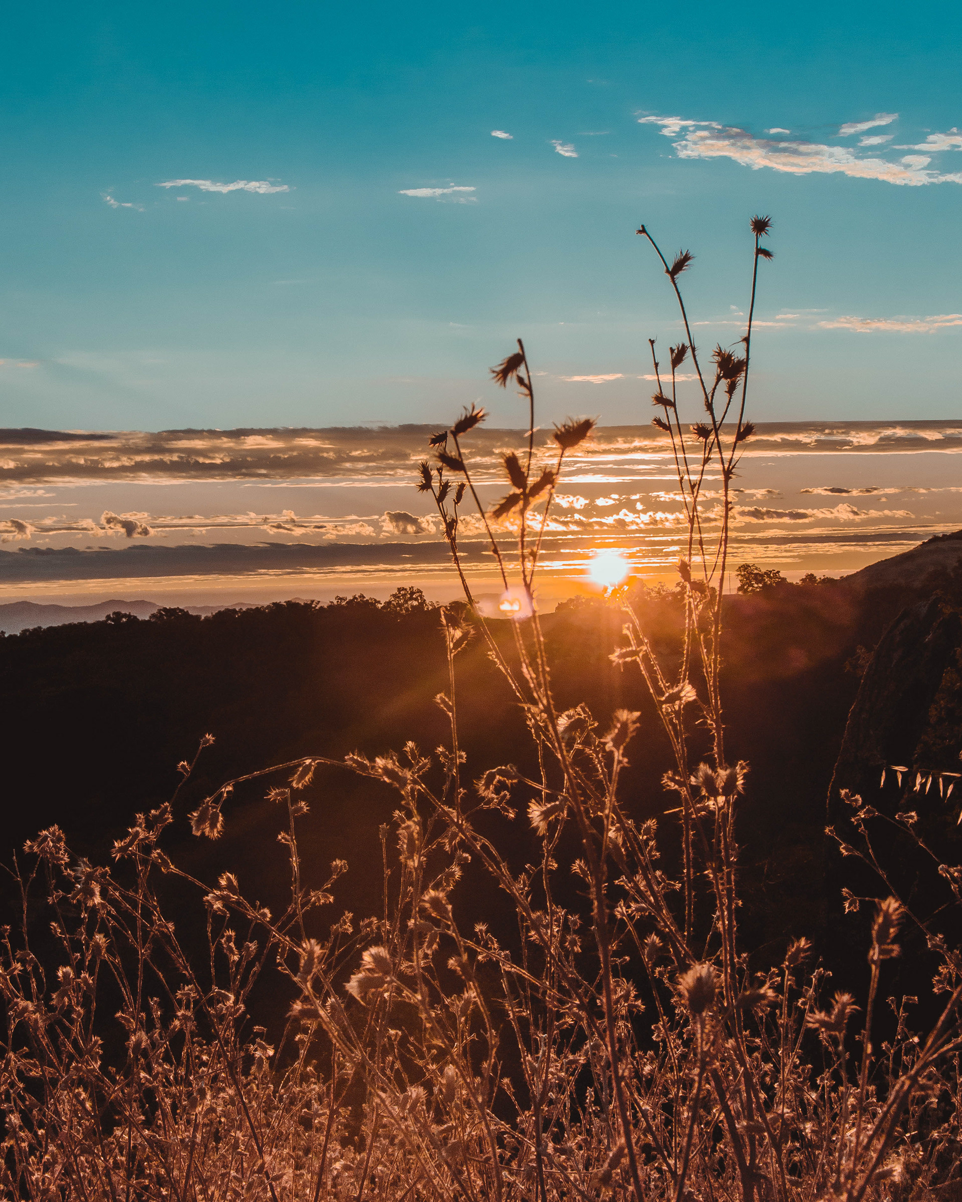 Sep 2018, California
