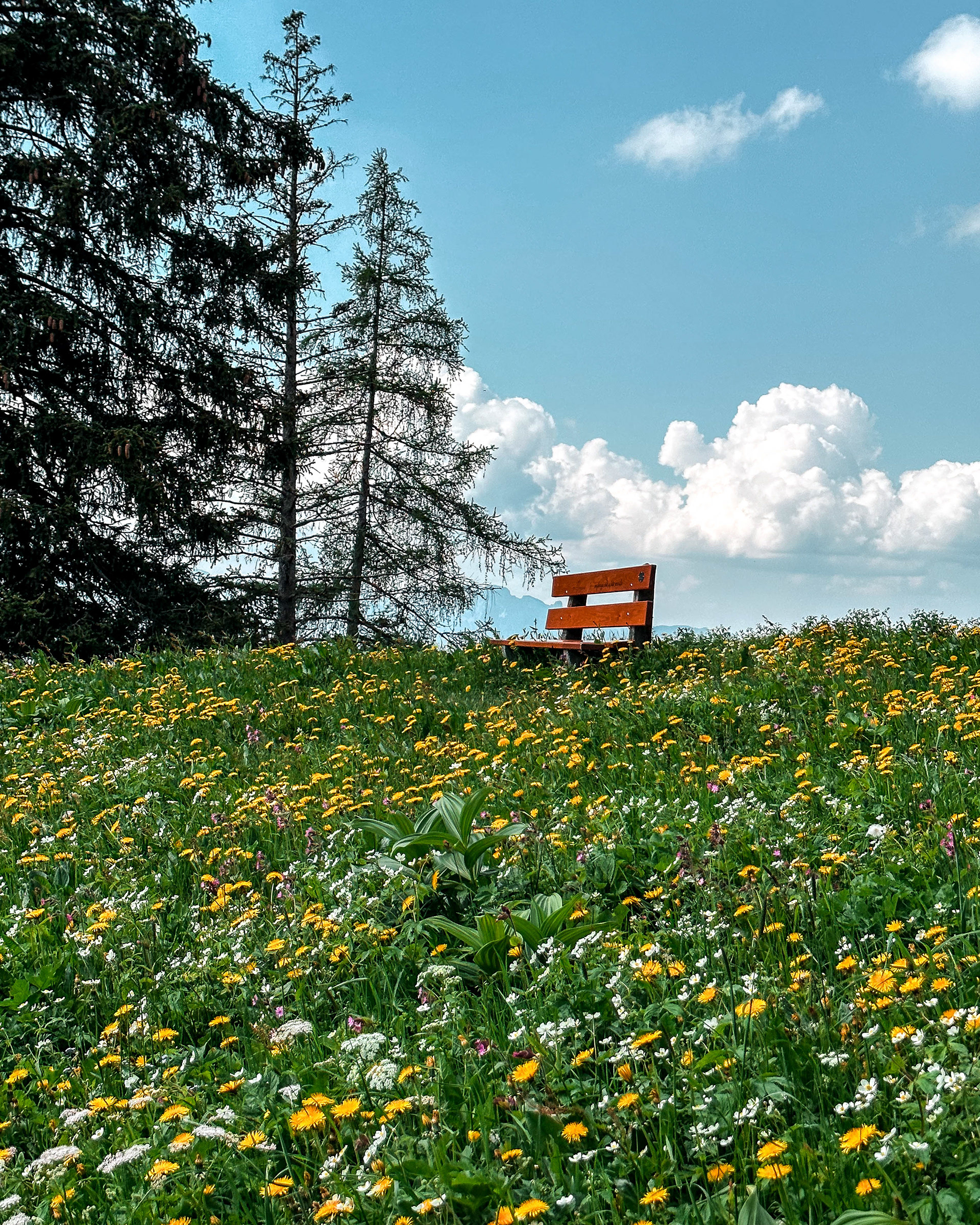 May 2023, Liechtenstein