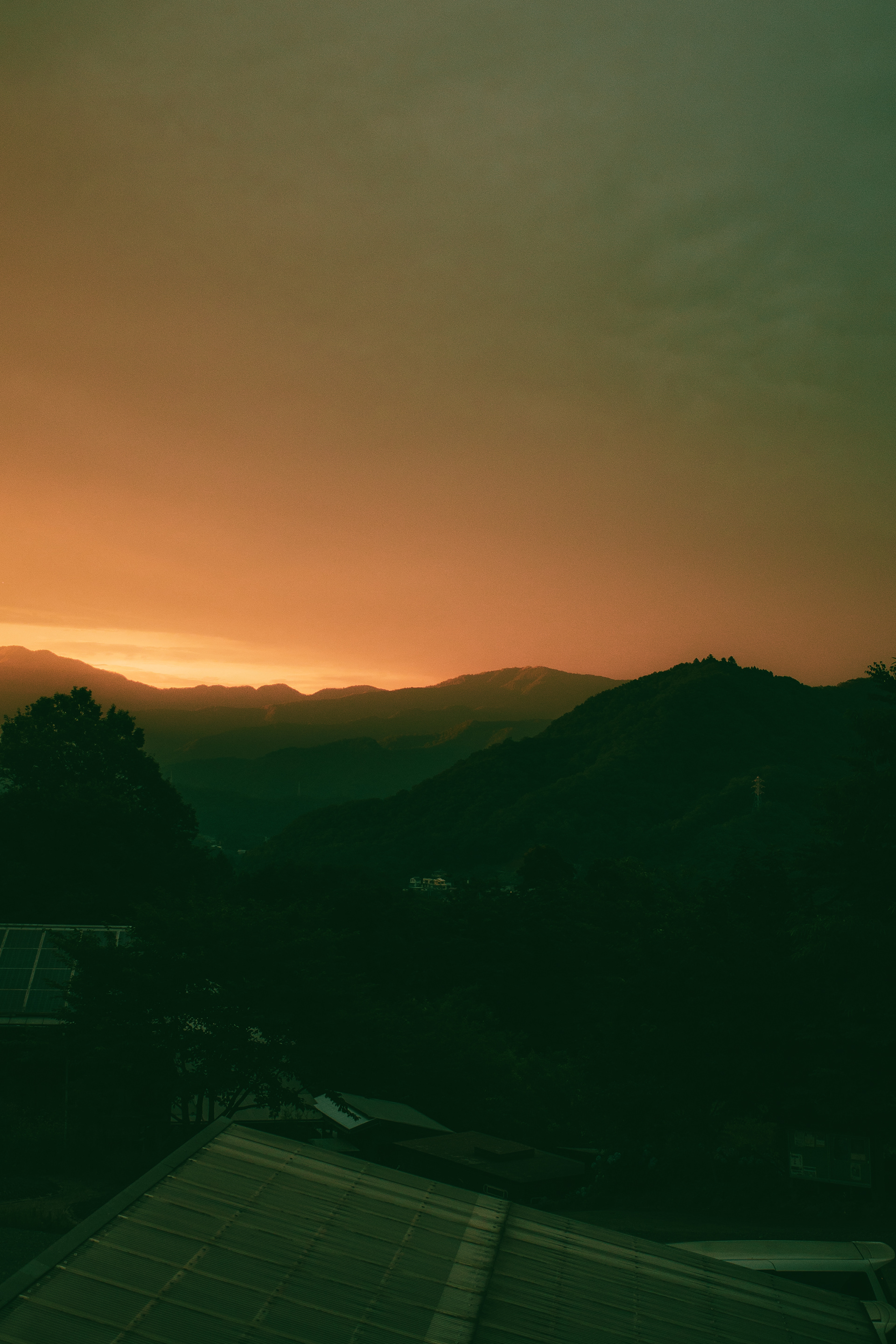 FUJINO - JAPAN