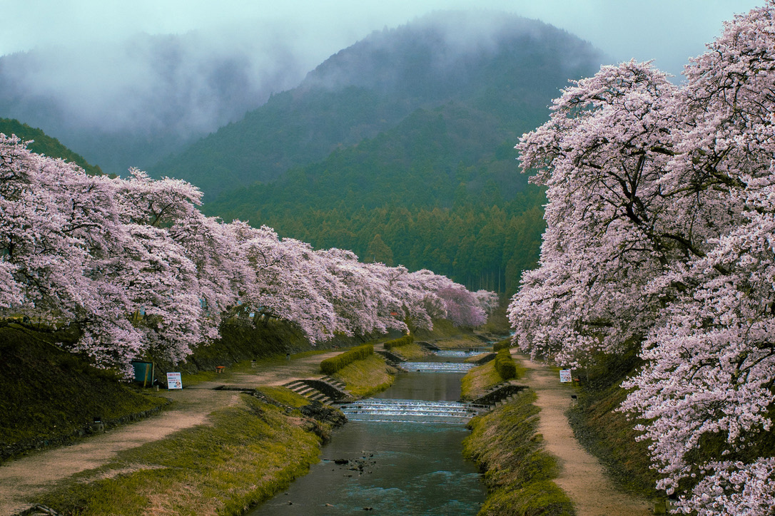 MIE - JAPAN 