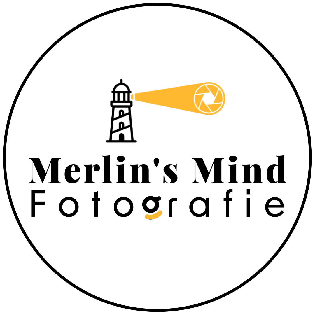 Merlins mind fotografie
