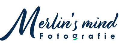 Merlins mind fotografie