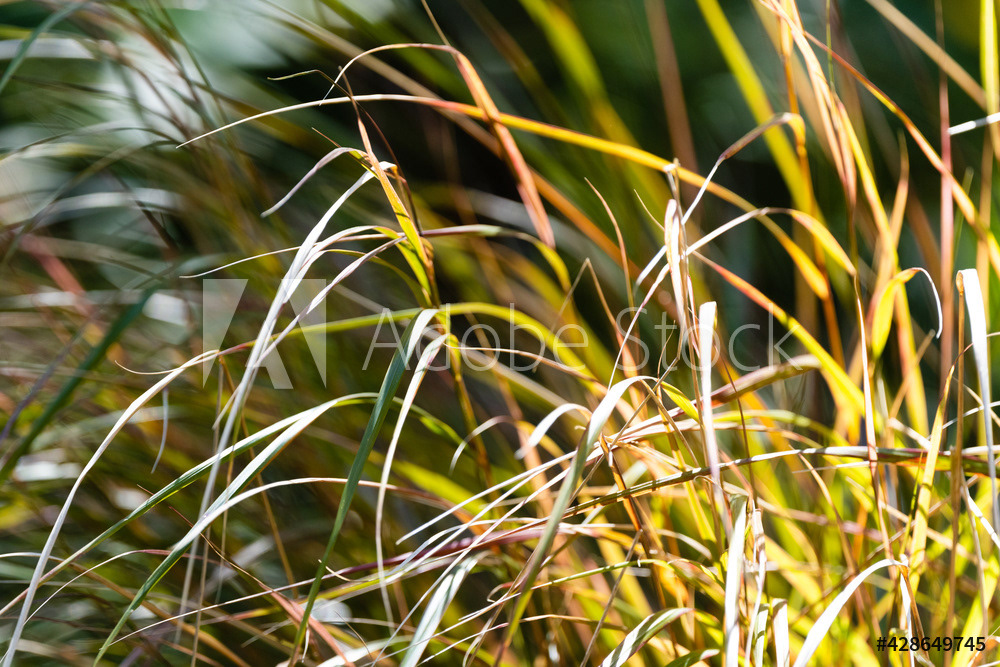 Photography by L Tyrrell