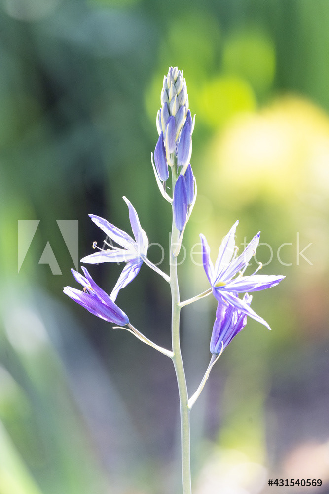 Photography by L Tyrrell