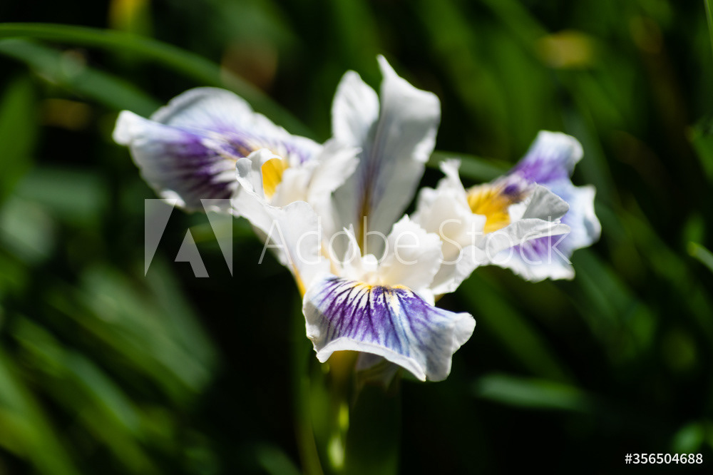 Photography by L Tyrrell